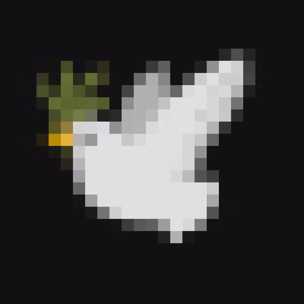 🕊️