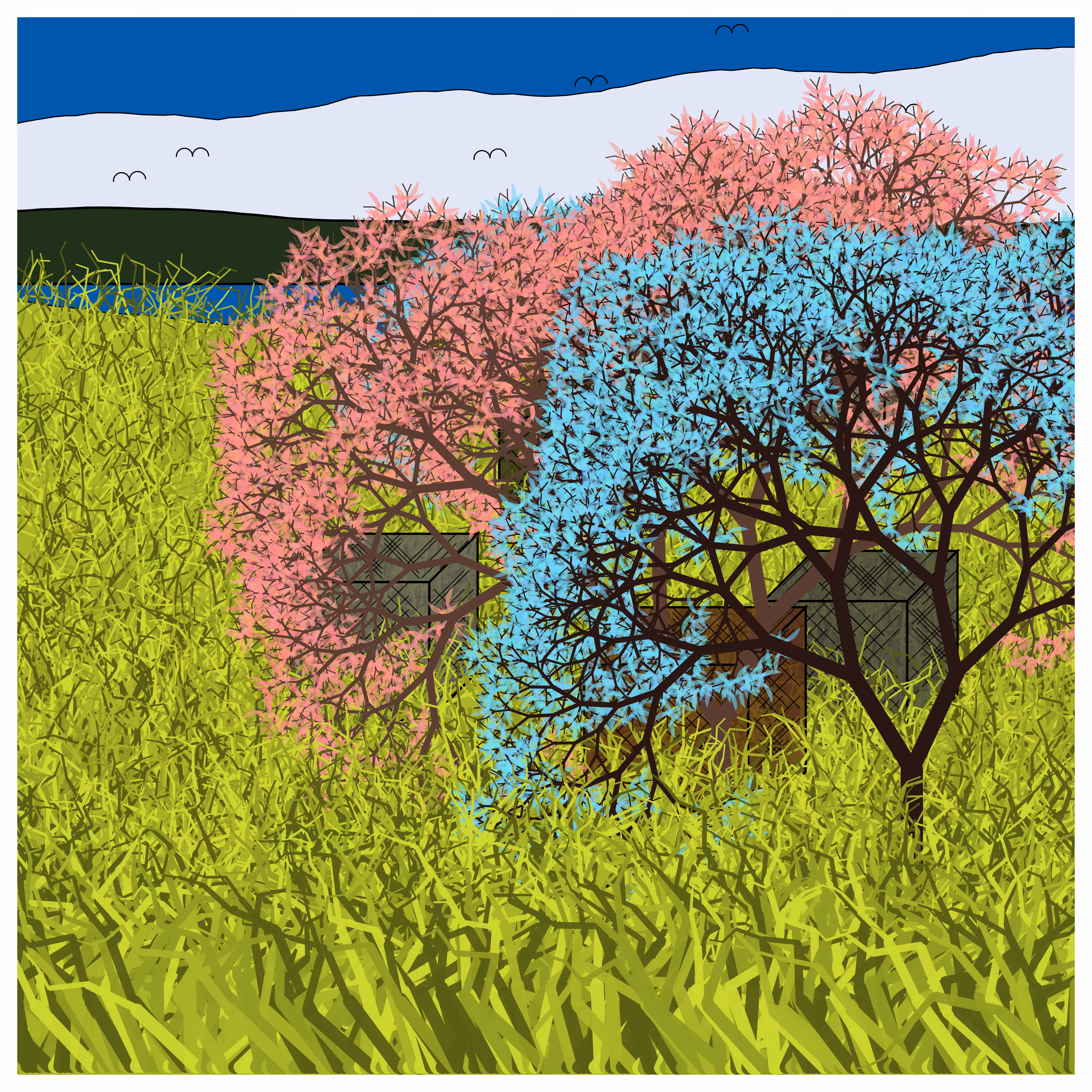 Cube Forest #31