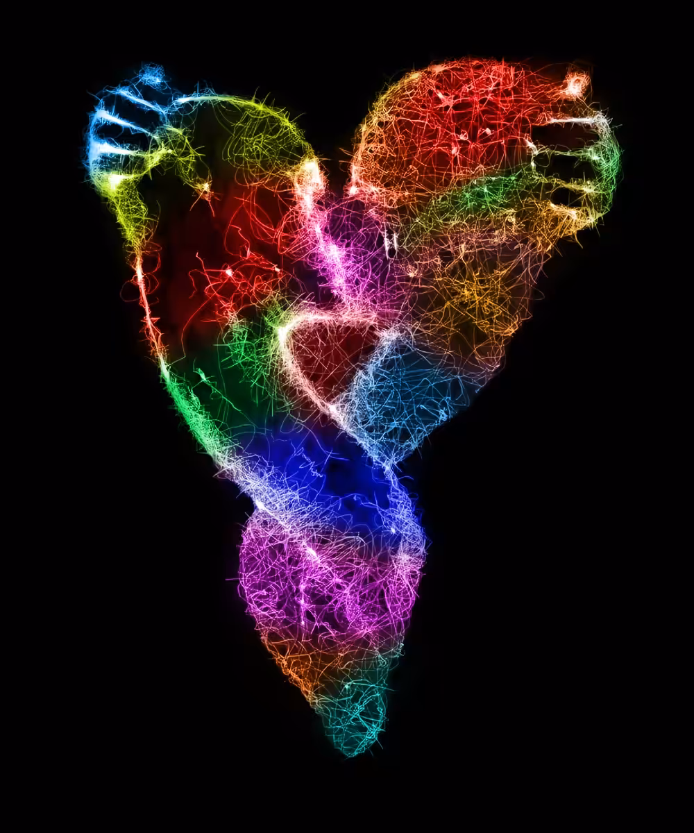 Connecting with Love