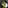 Museum of Pixelated Masterpieces
