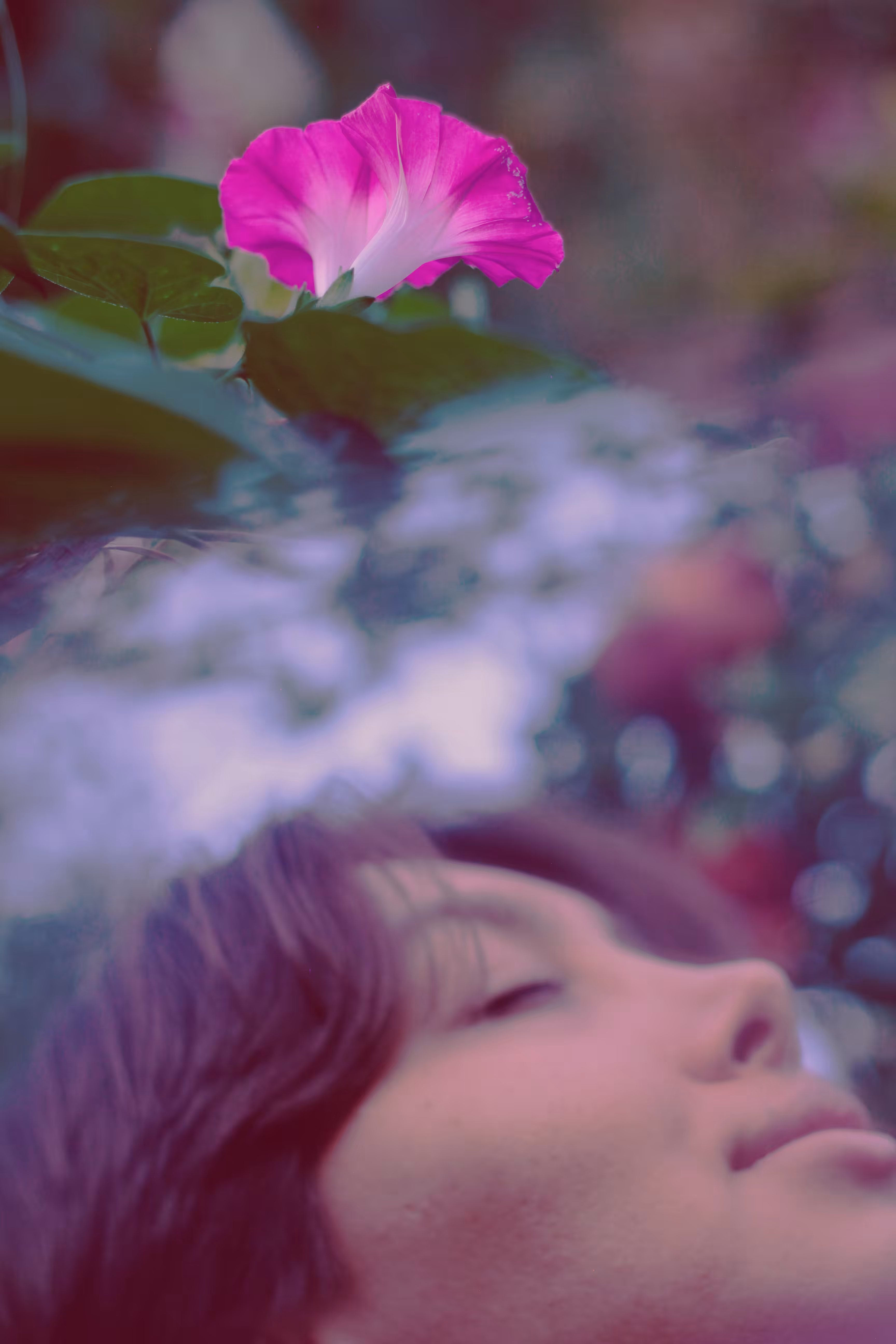 Whisper of Petals