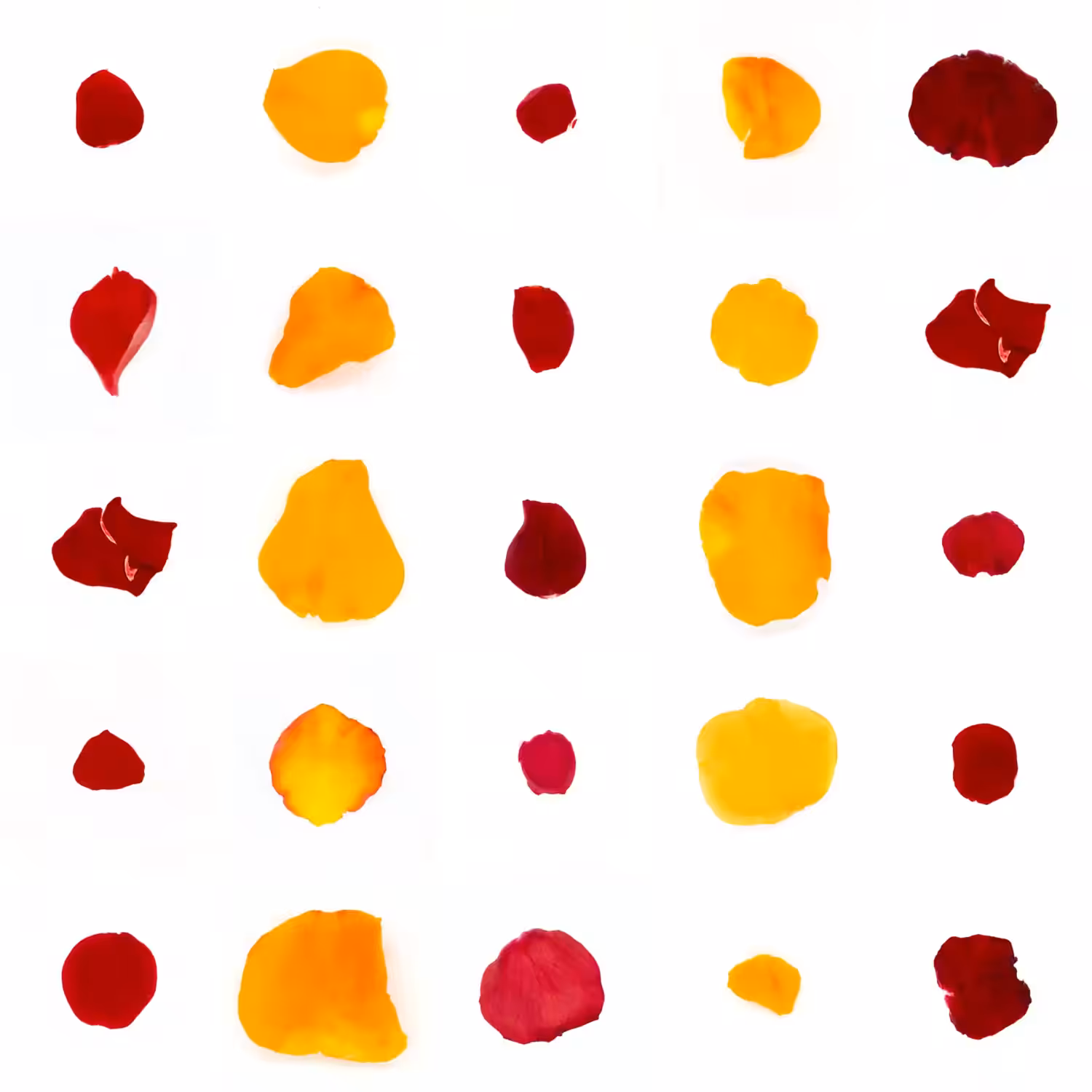 Infinite Petals 5x5#20274