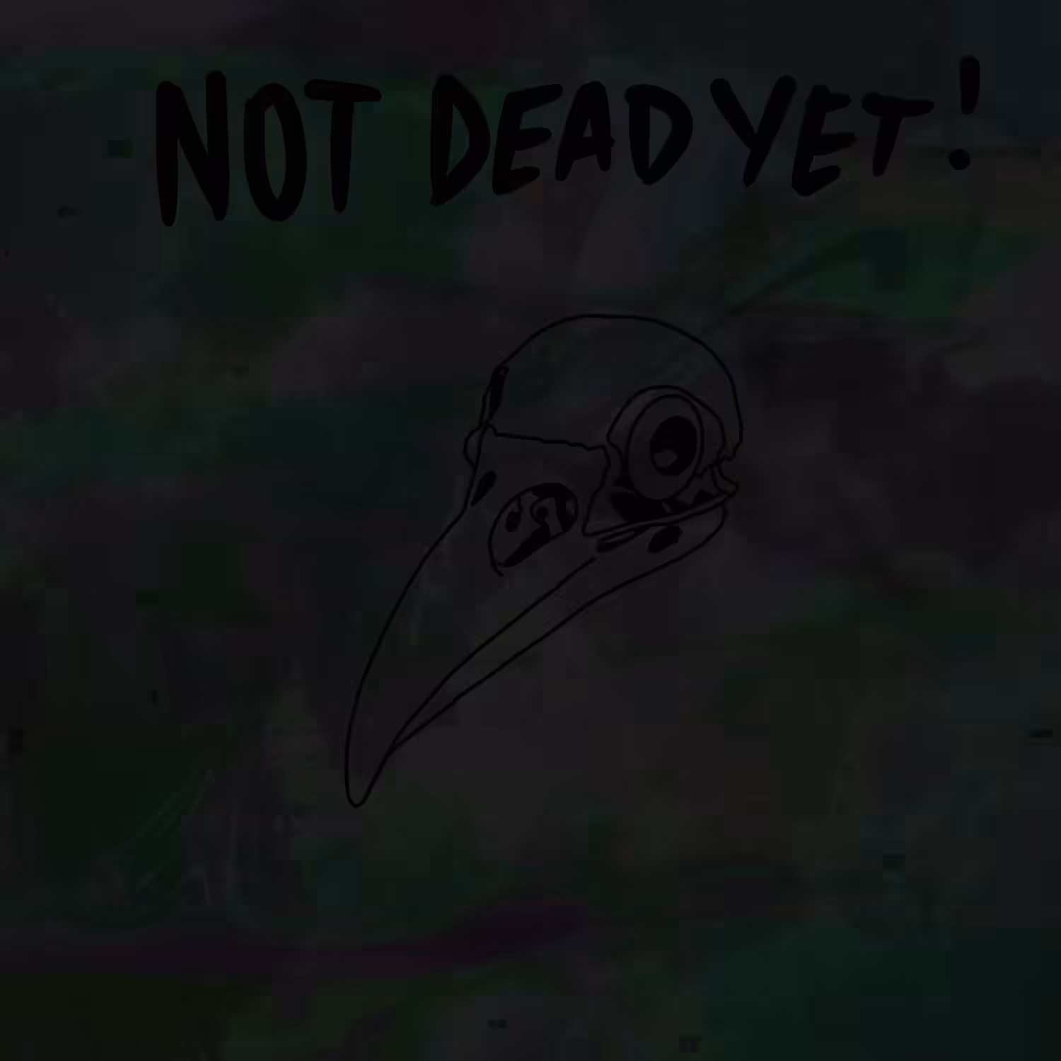 raven skull.