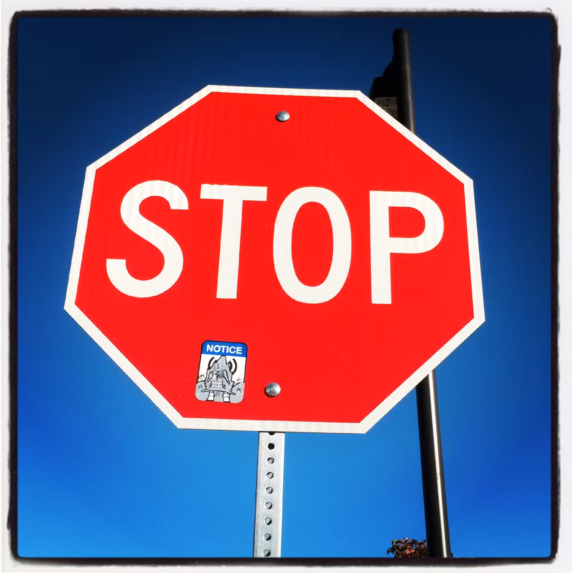 Stop & Notice