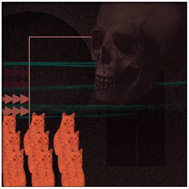 Salem #97