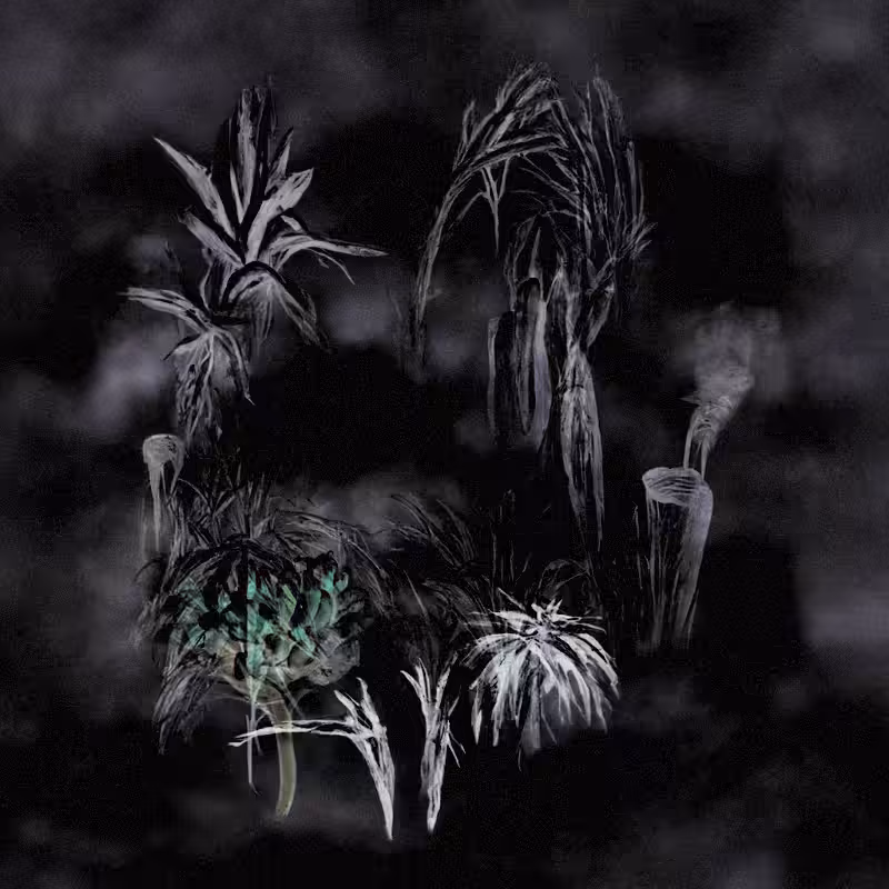 Hauntological Herbarium #4