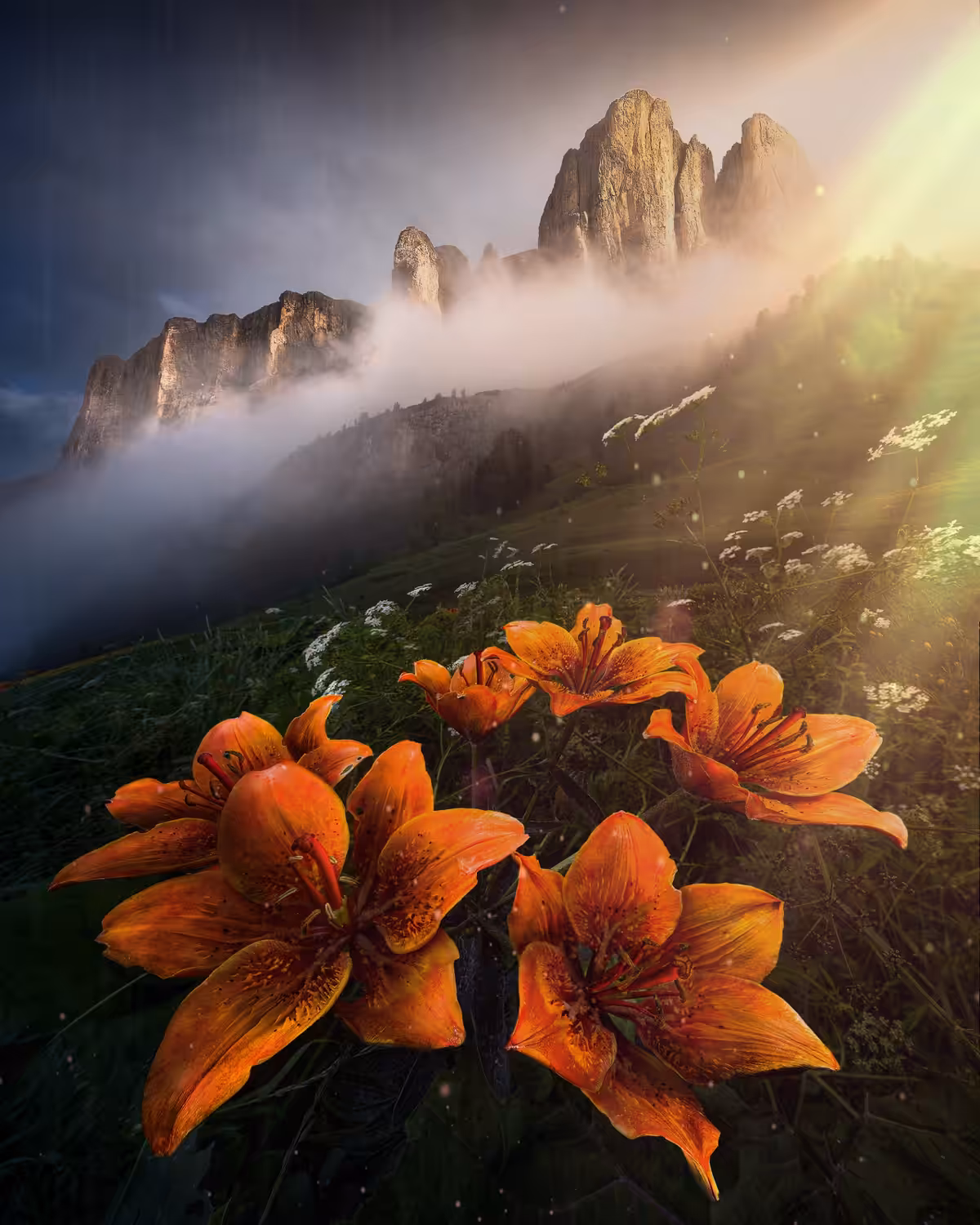 Fire Lily
