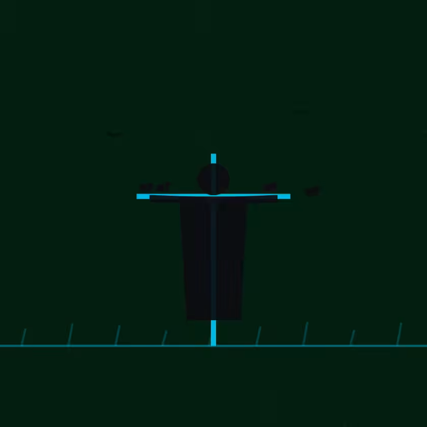 Project Robin #303