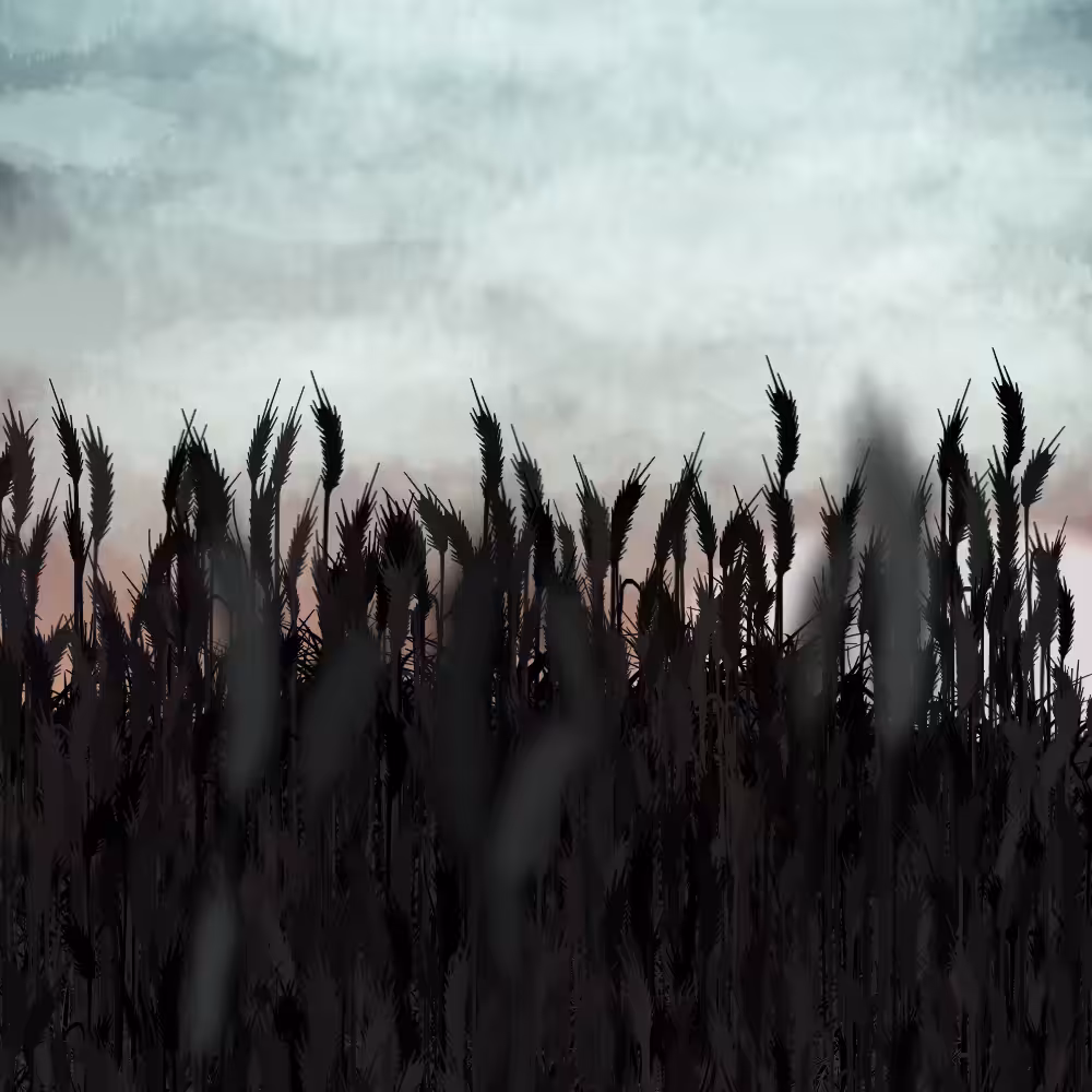 Walk in the field #61