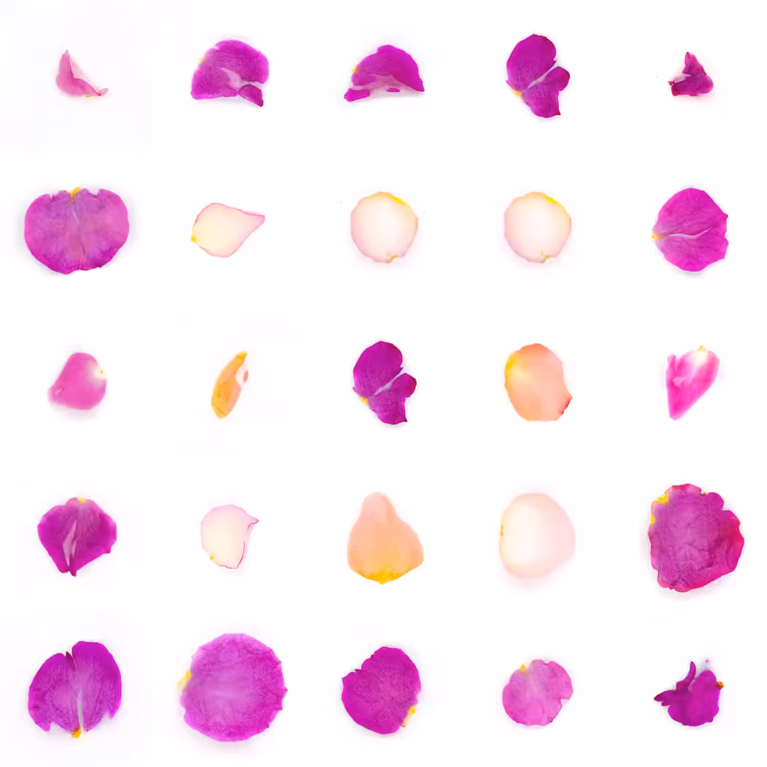 Infinite Petals 5x5#20650