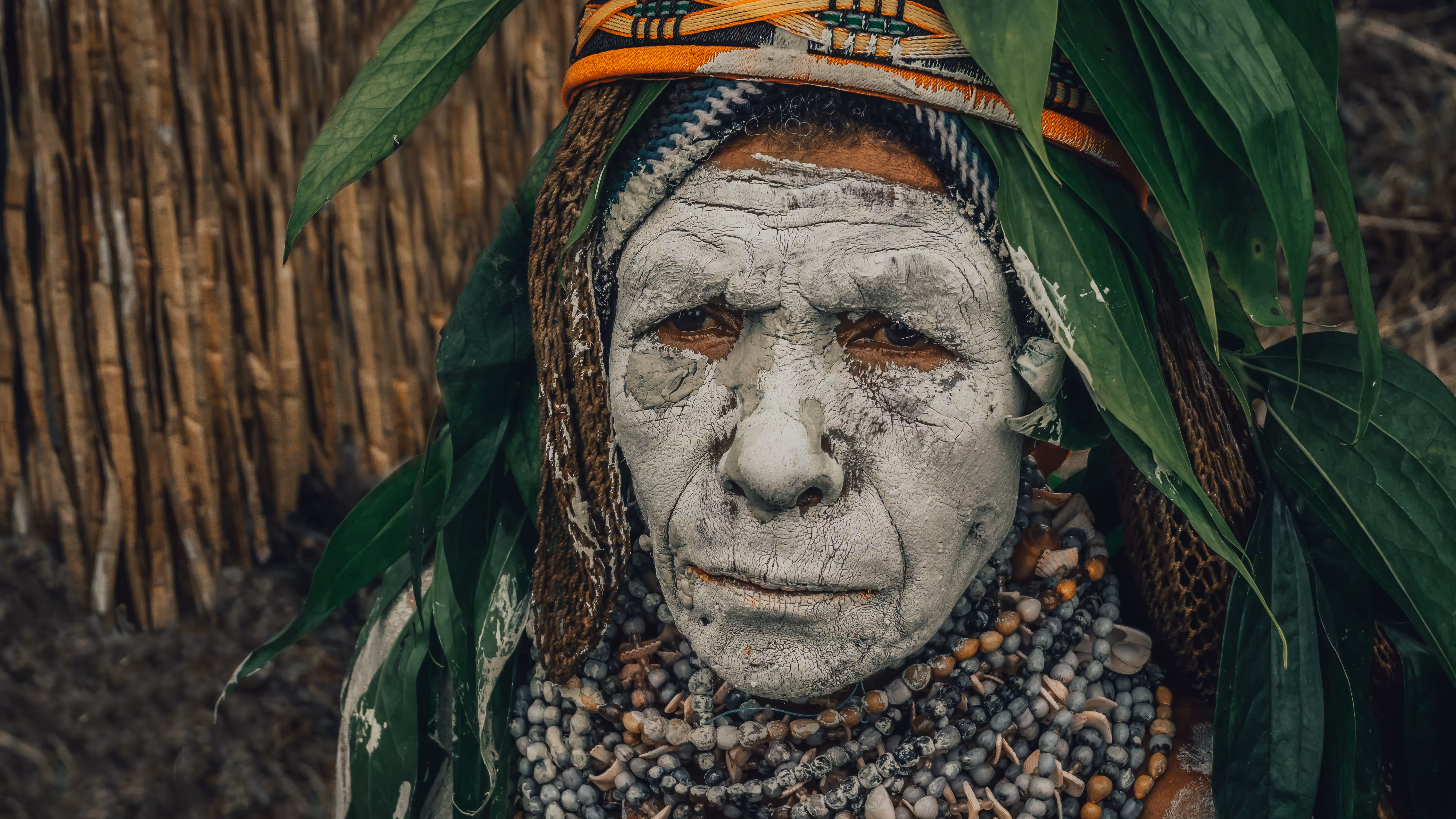 Wise Look