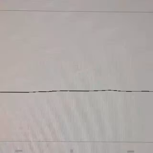 Animation #1: Stupid Bird