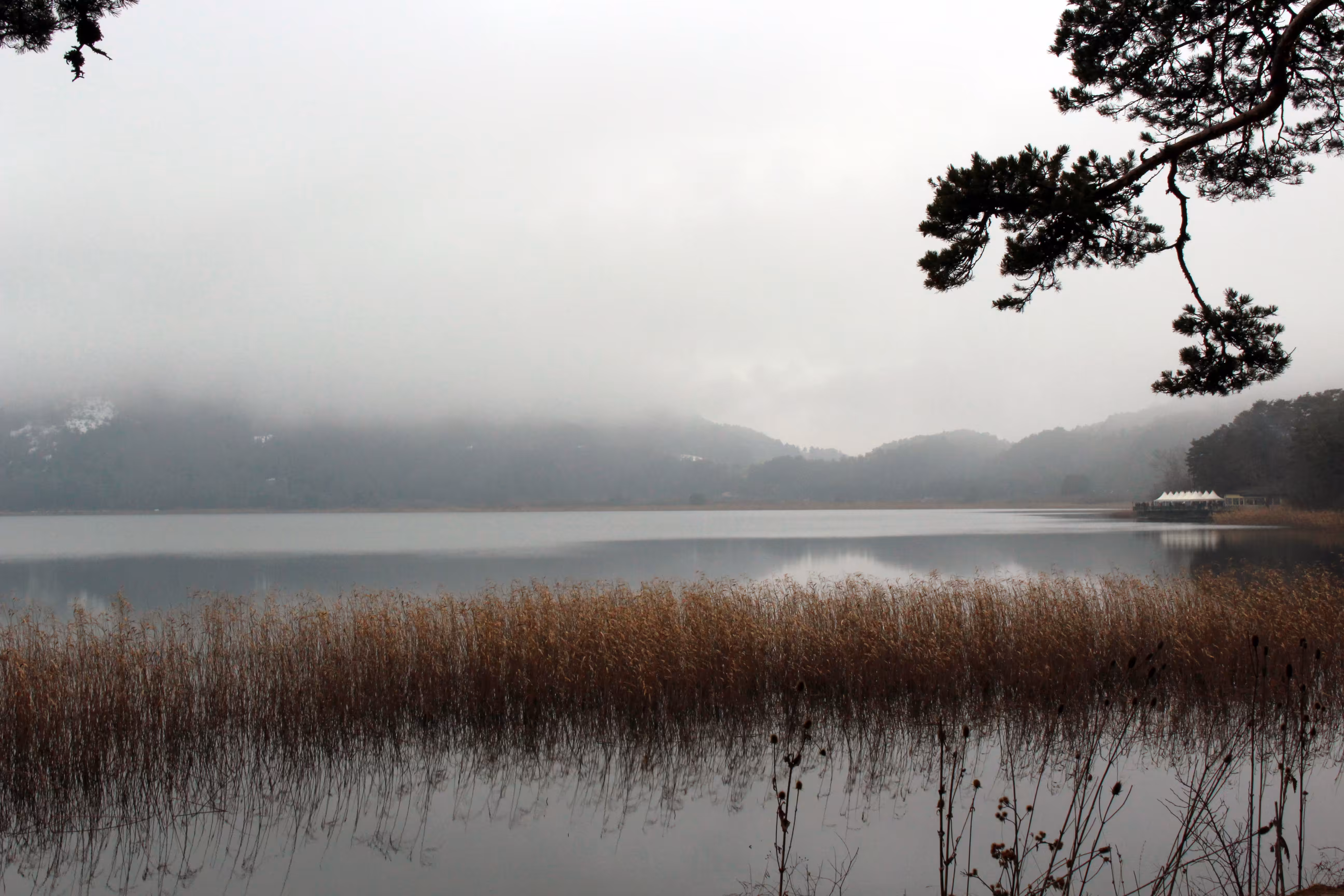 Fogy Lake
