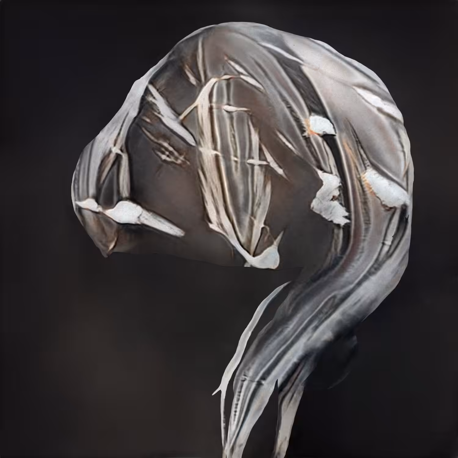 V3GA G3N3SIS: NN9