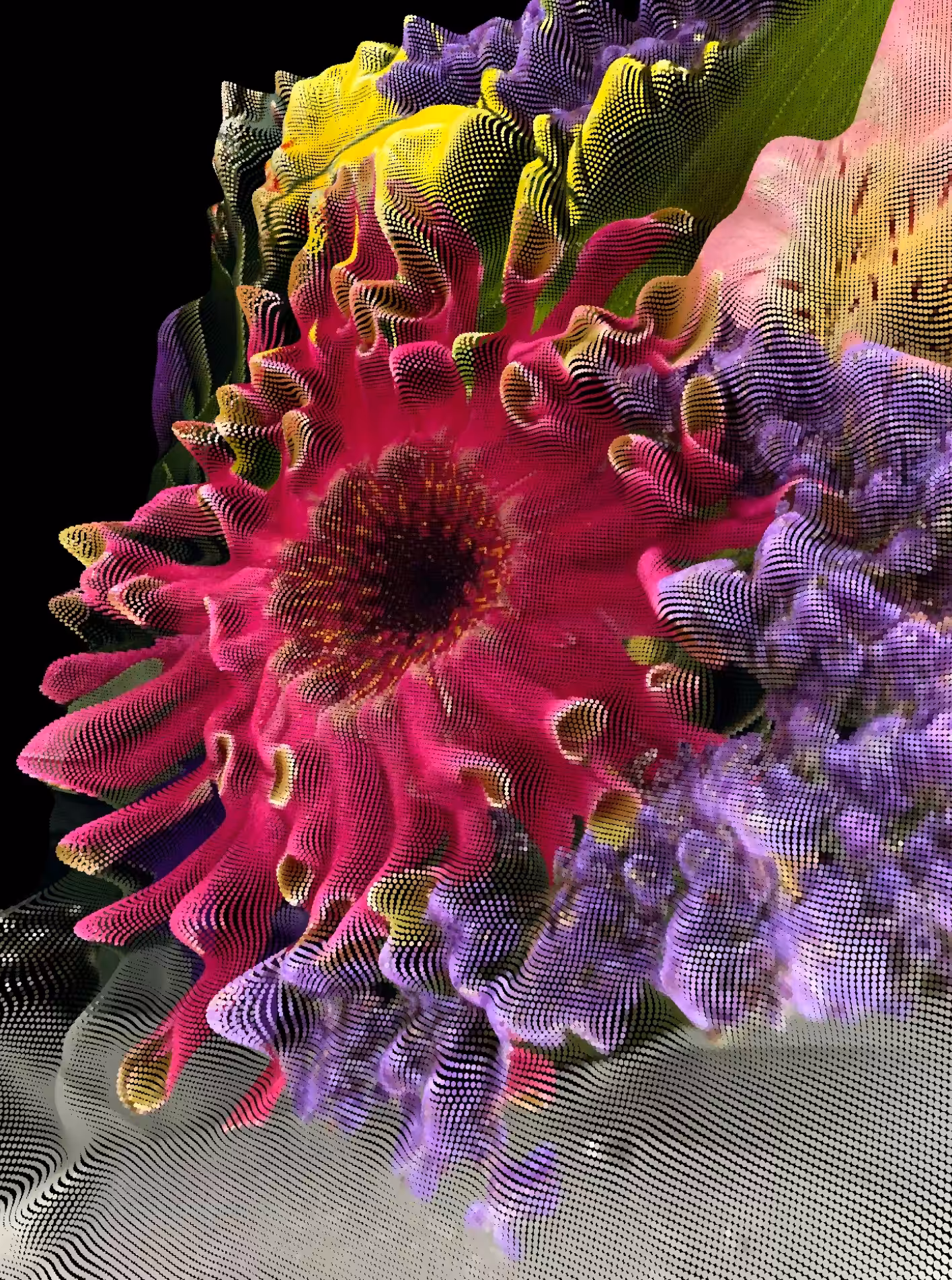 Bouquet #2 - Genesis