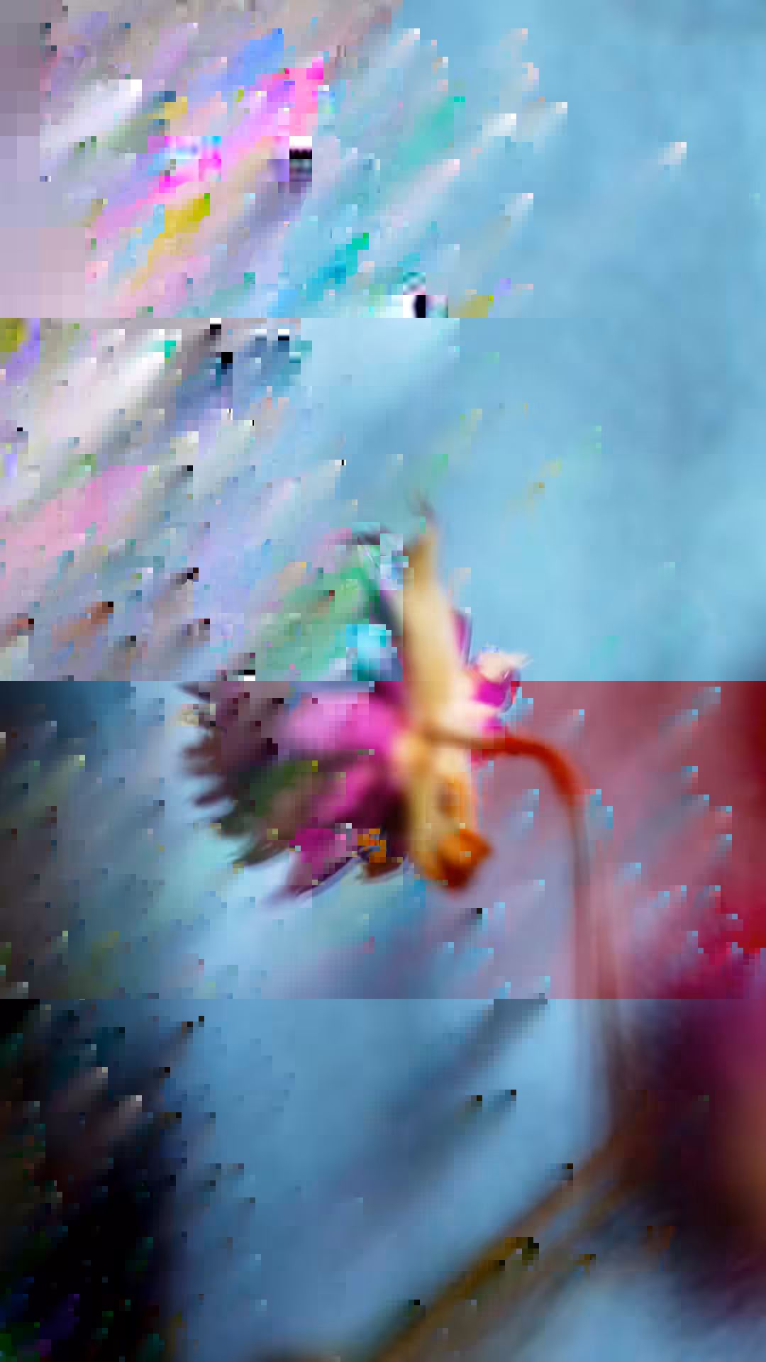 ((08H --- Static Bloom