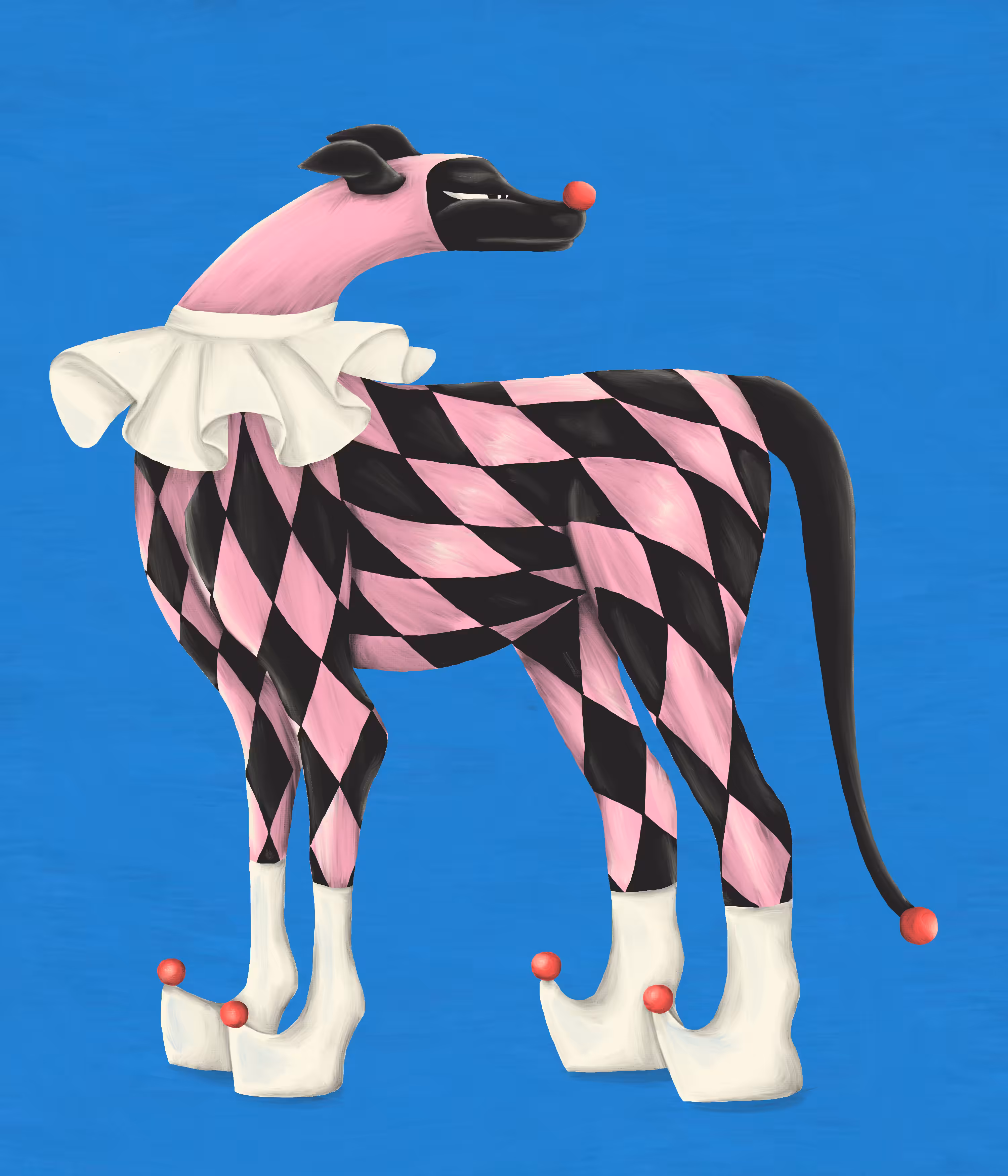Il cane