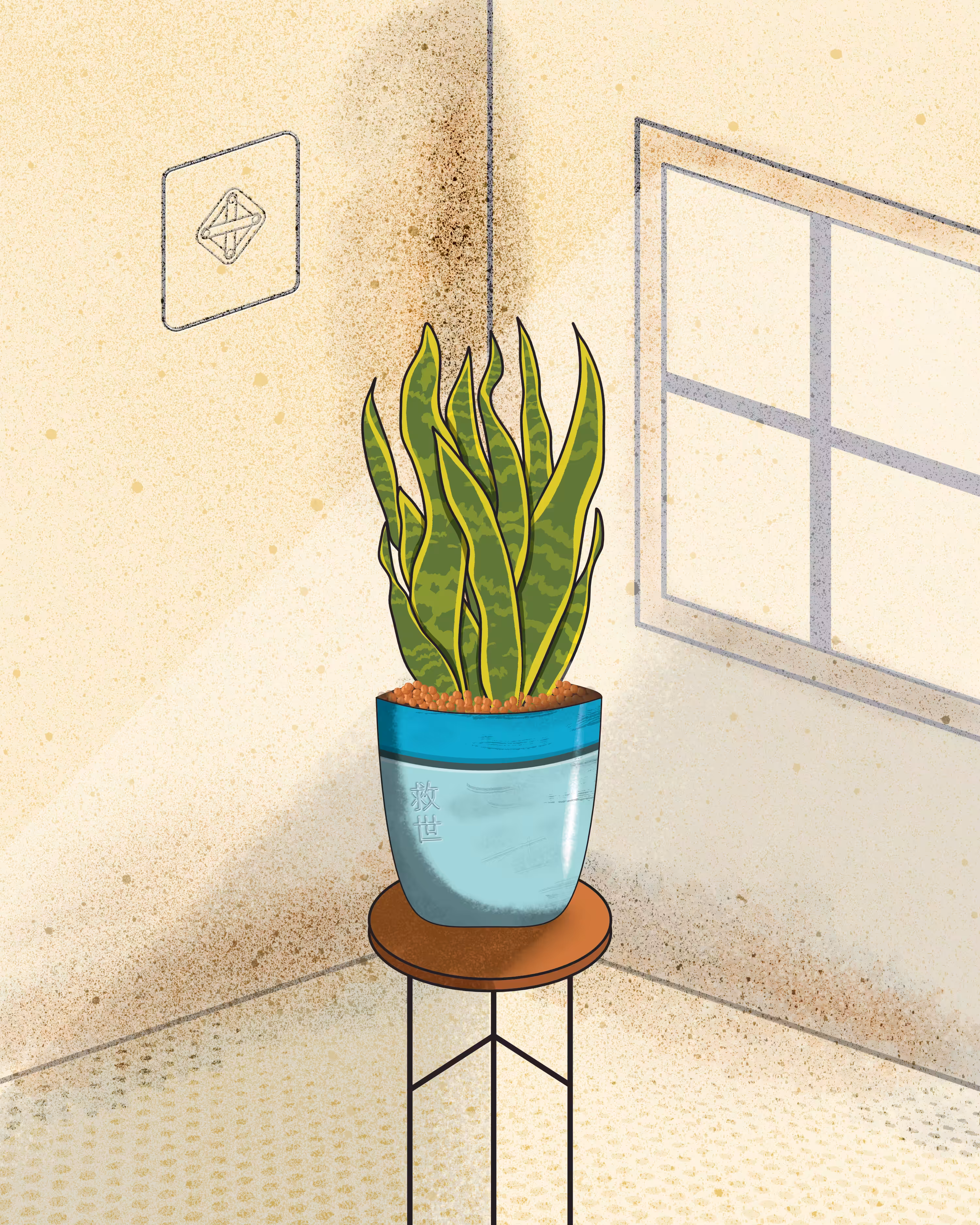 Snake Plant