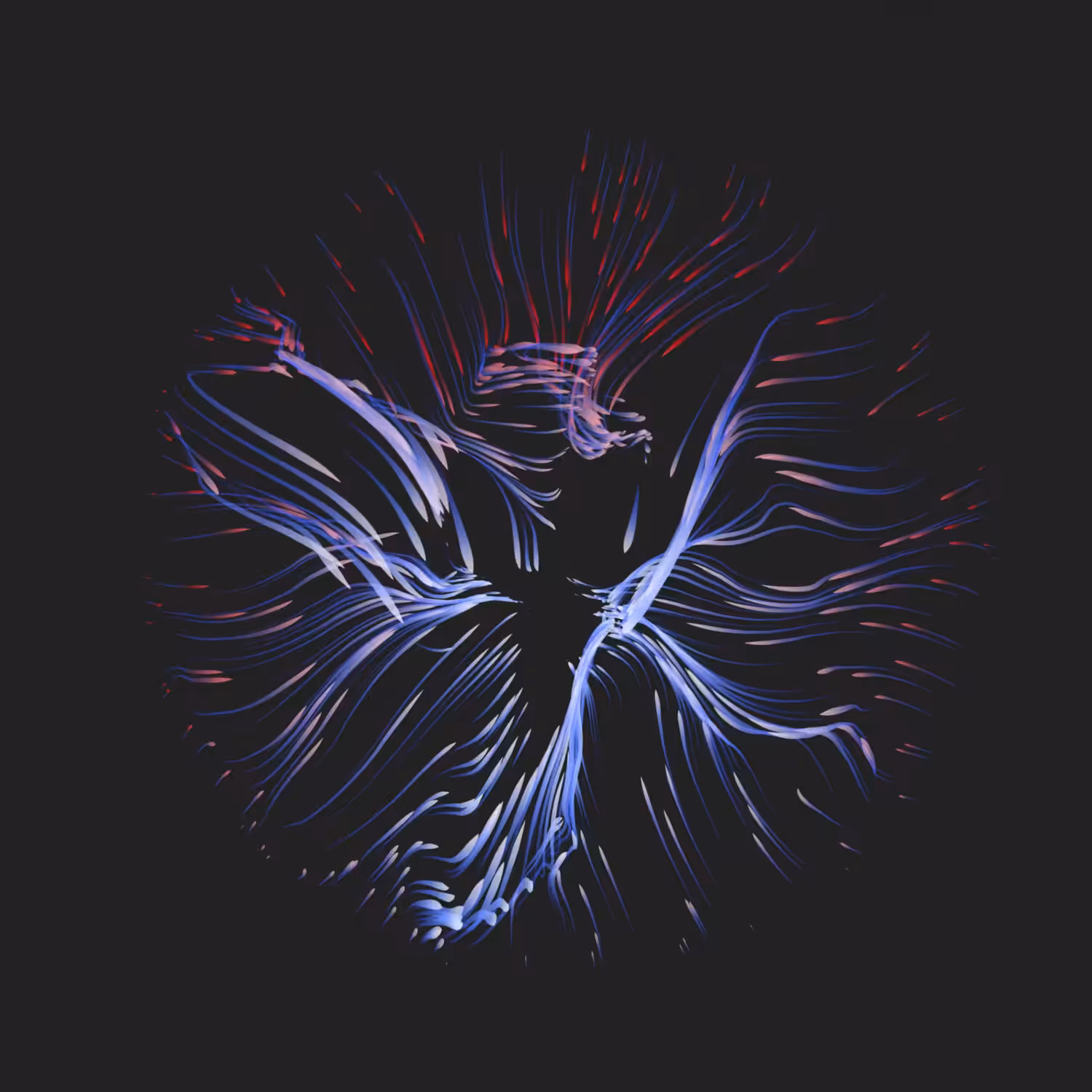 Vortex #1128