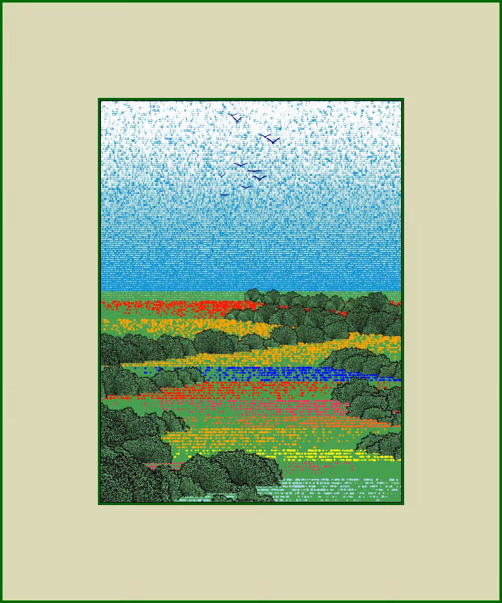 Fields of flowers #1