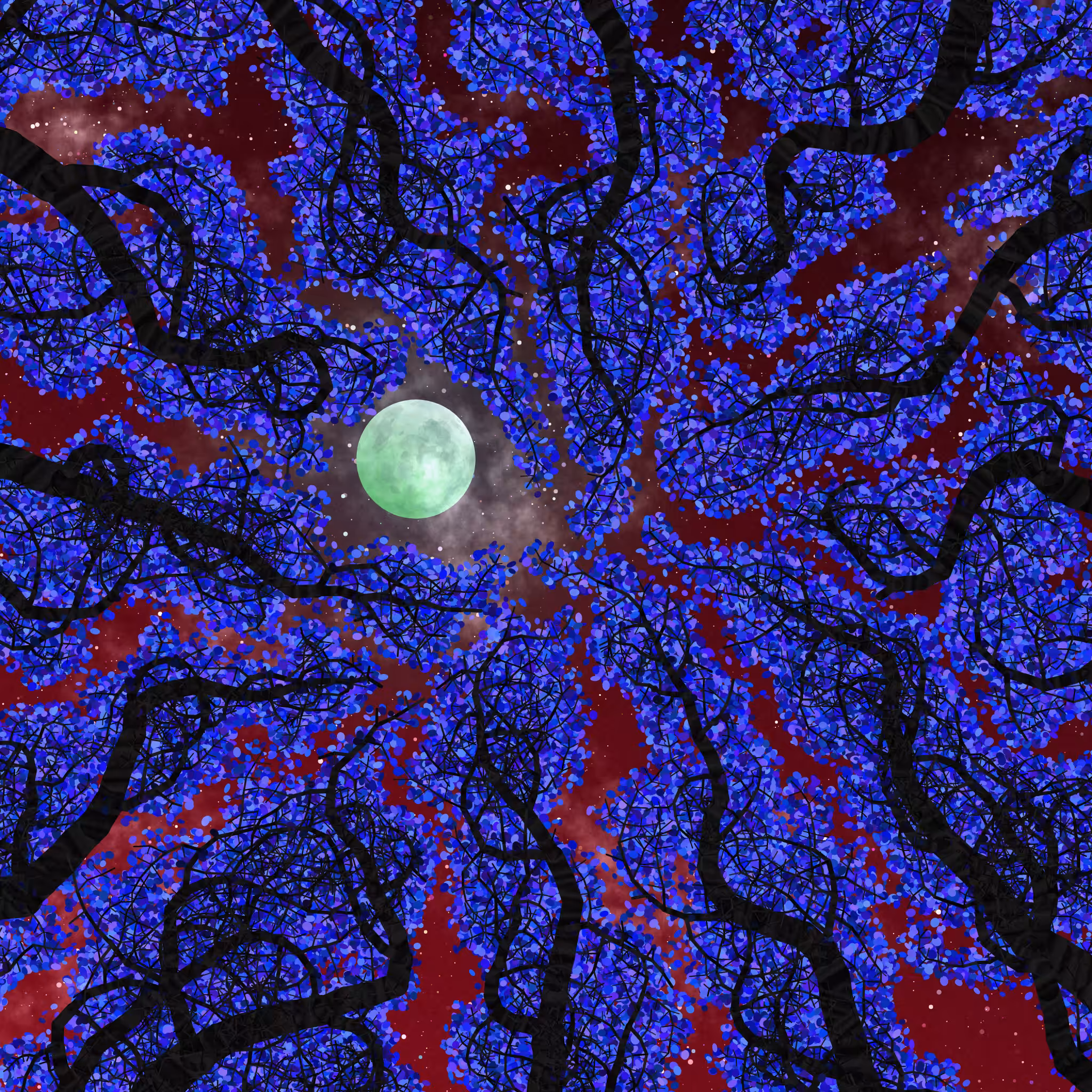 Tree Skyness #225
