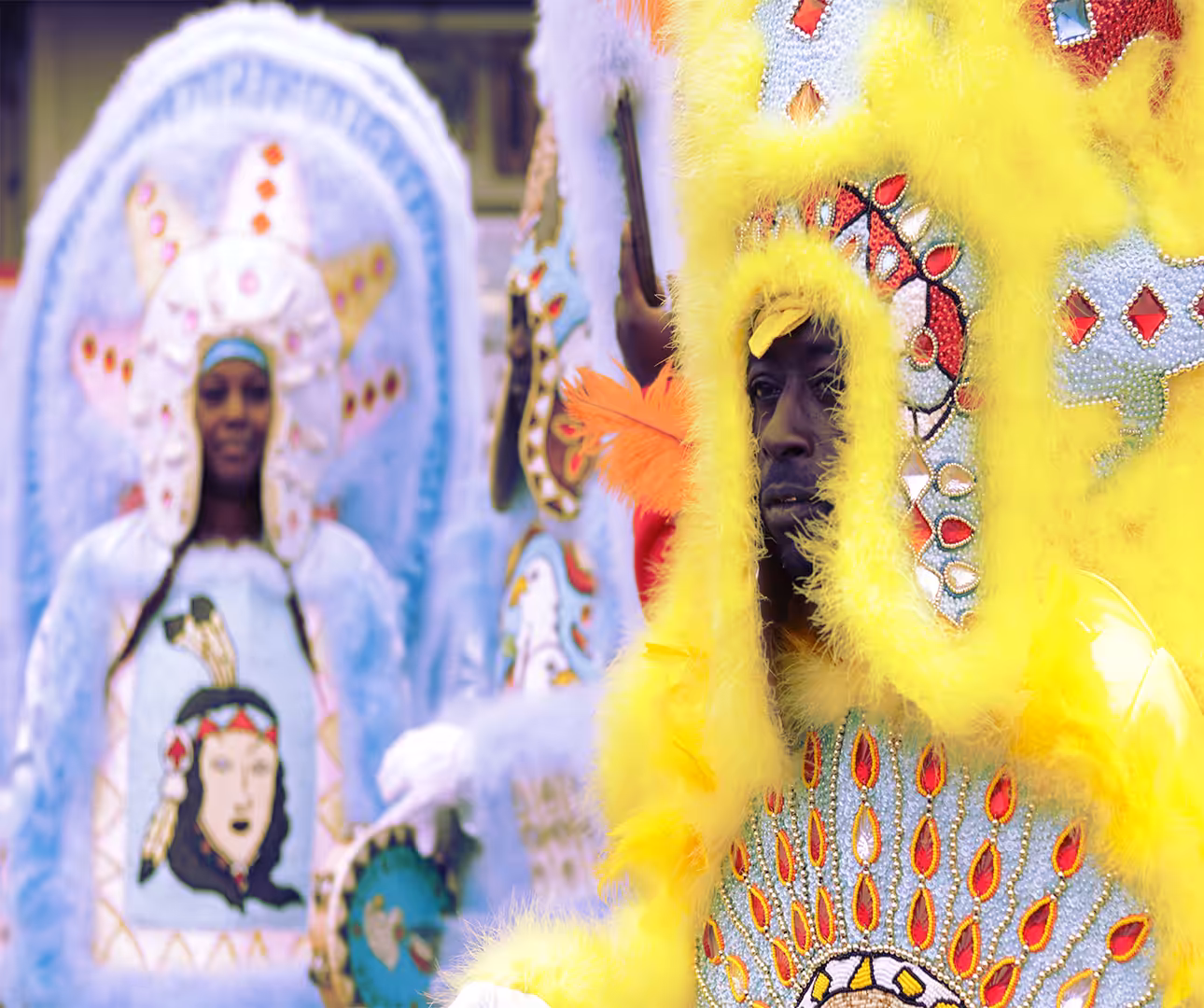 Culture Collection #019