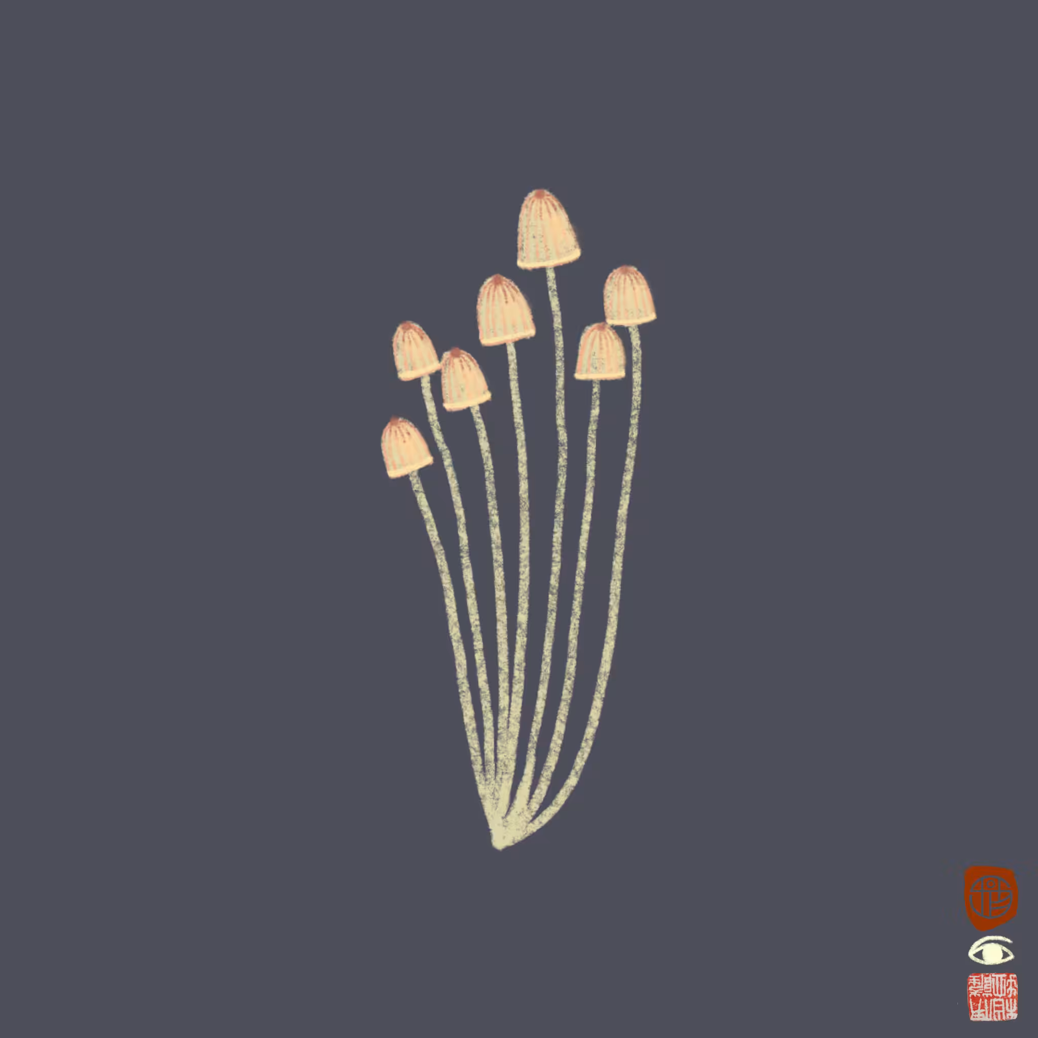 fungi