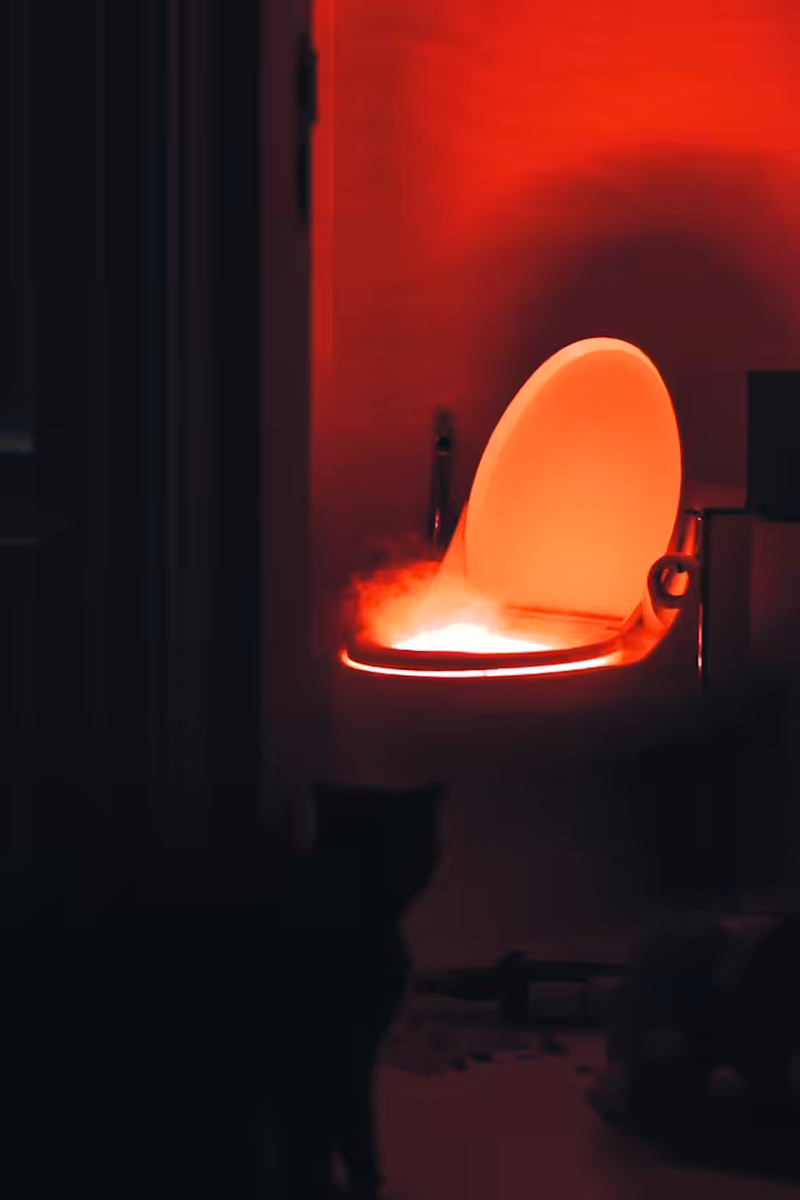 The Heart Broken Toilet