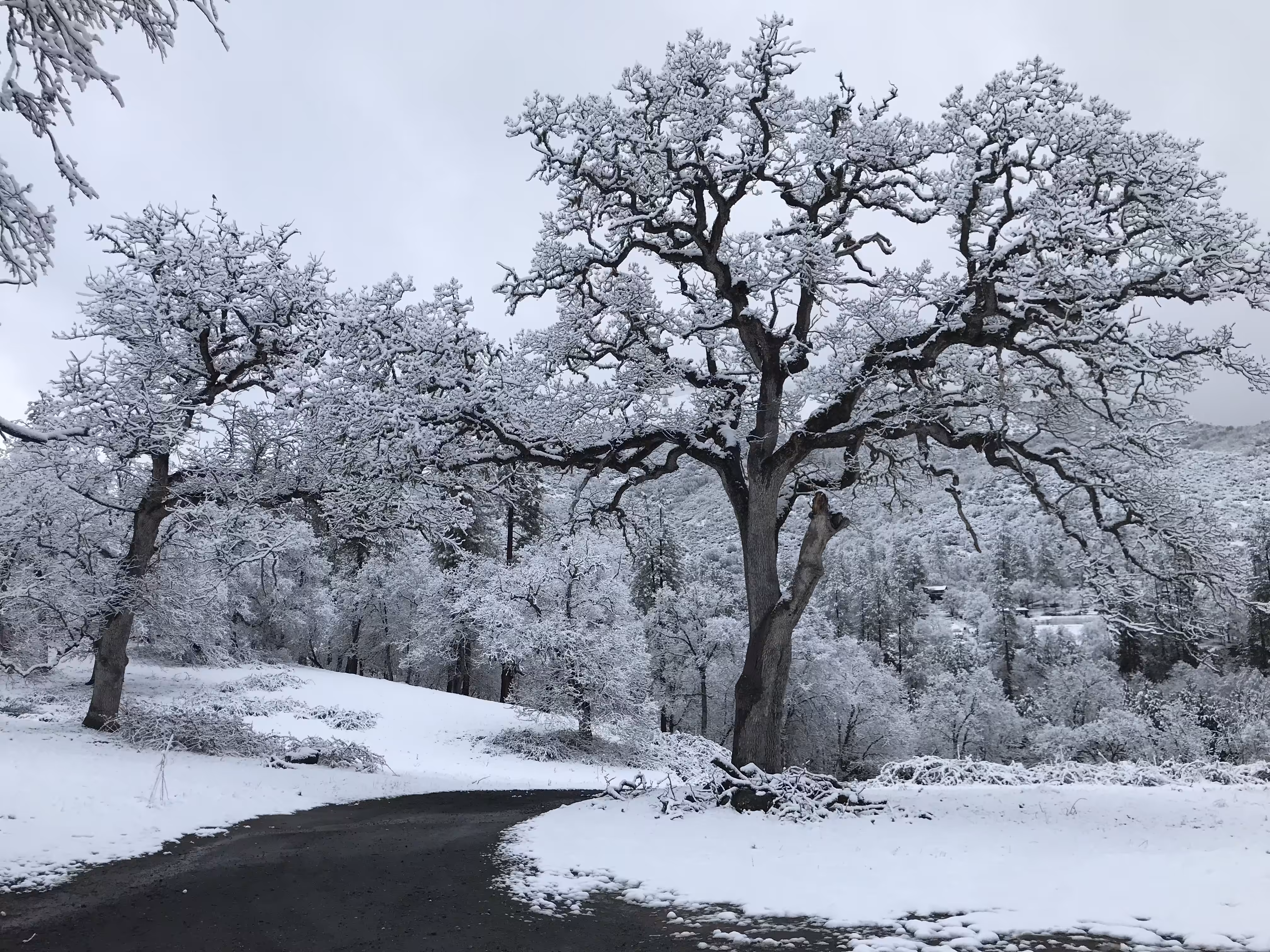 Southern Oregon Winter Road