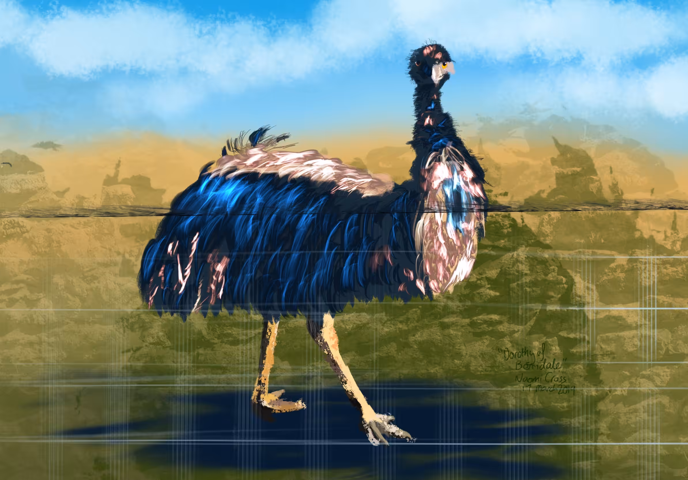 An Emu called Dorothy
