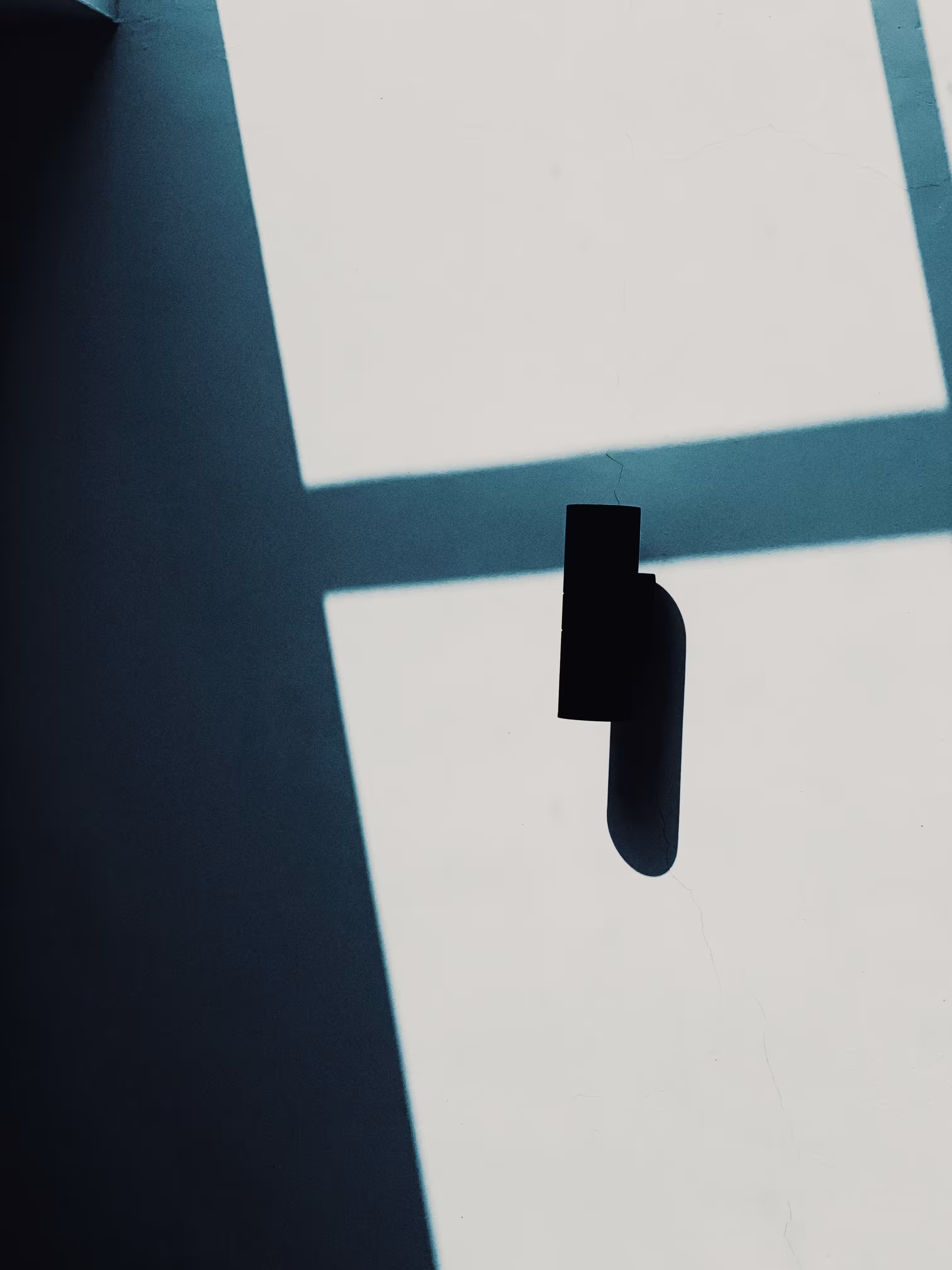 Silhouette #1