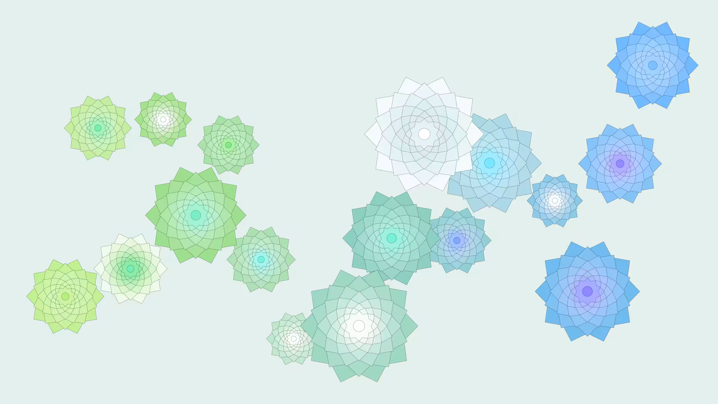 Schema #241