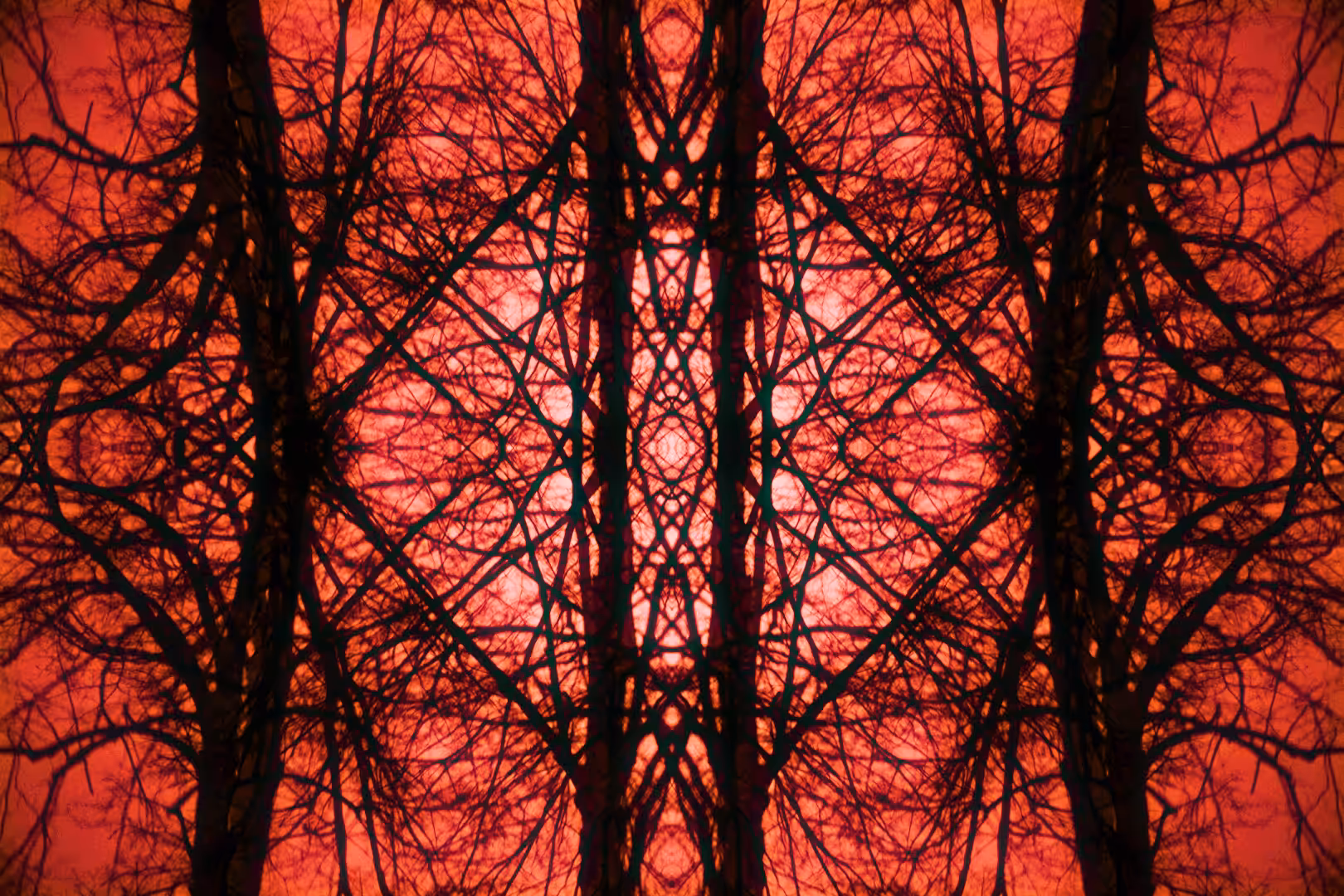 Cataclydoscope