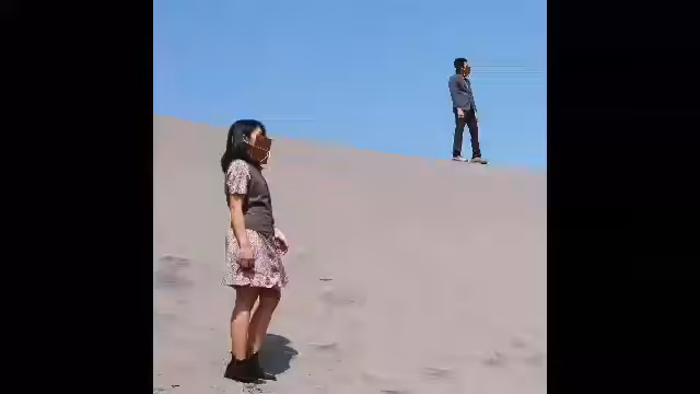 CIRCLE OF LIFE