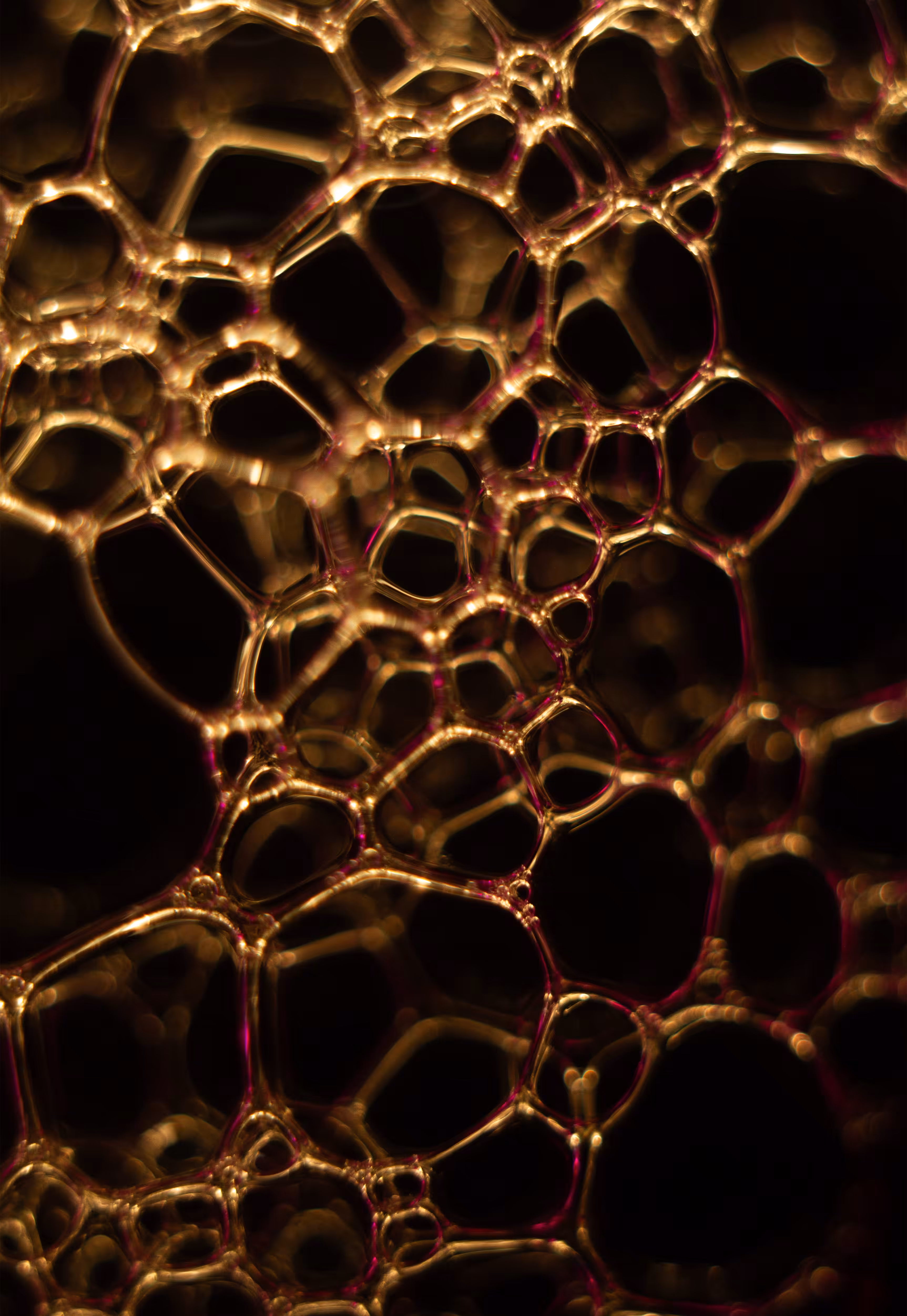 #224 Bubbles