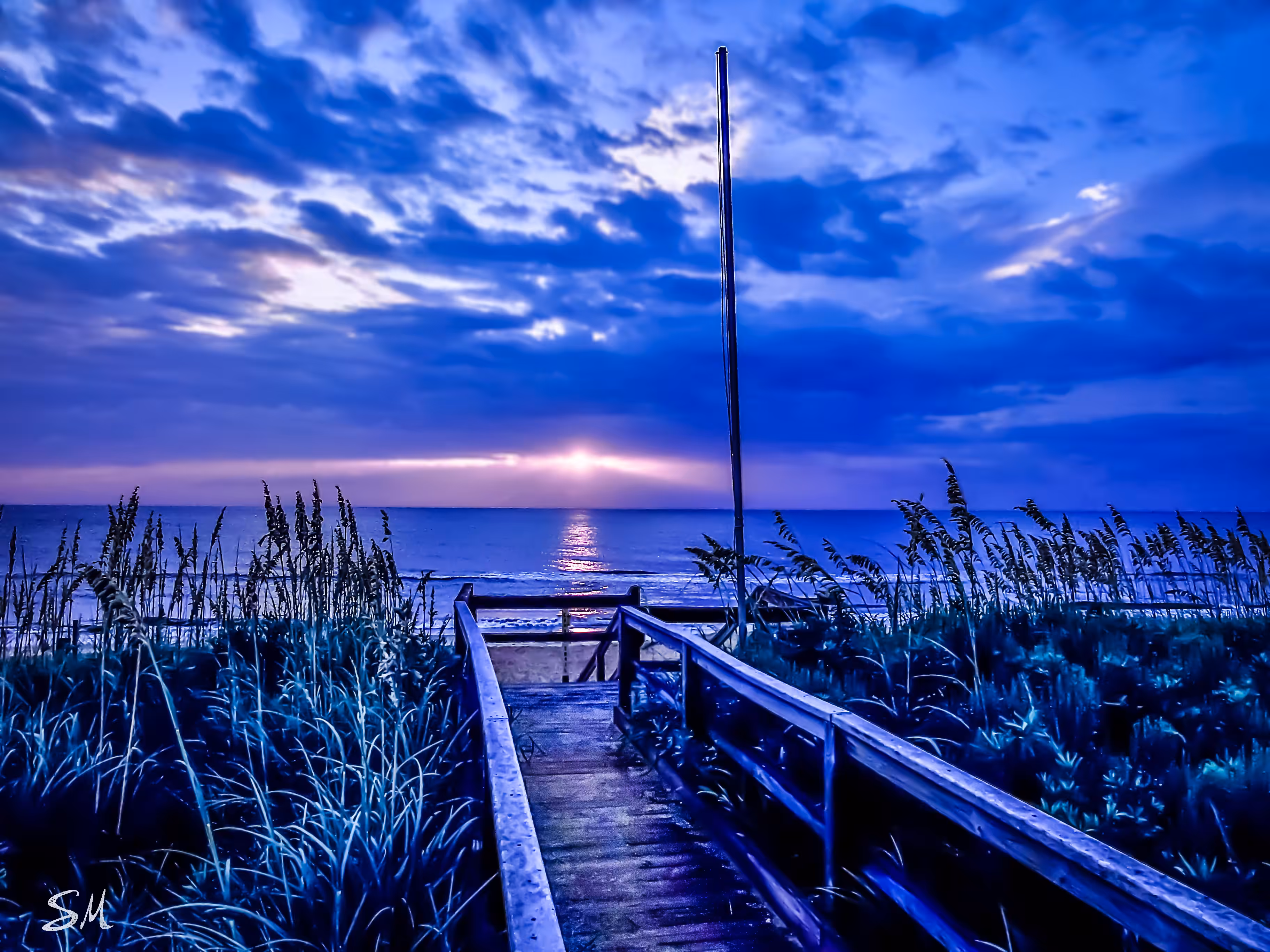 The Waking Light