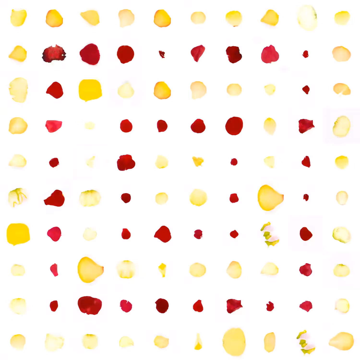 Infinite Petals 10x10#955