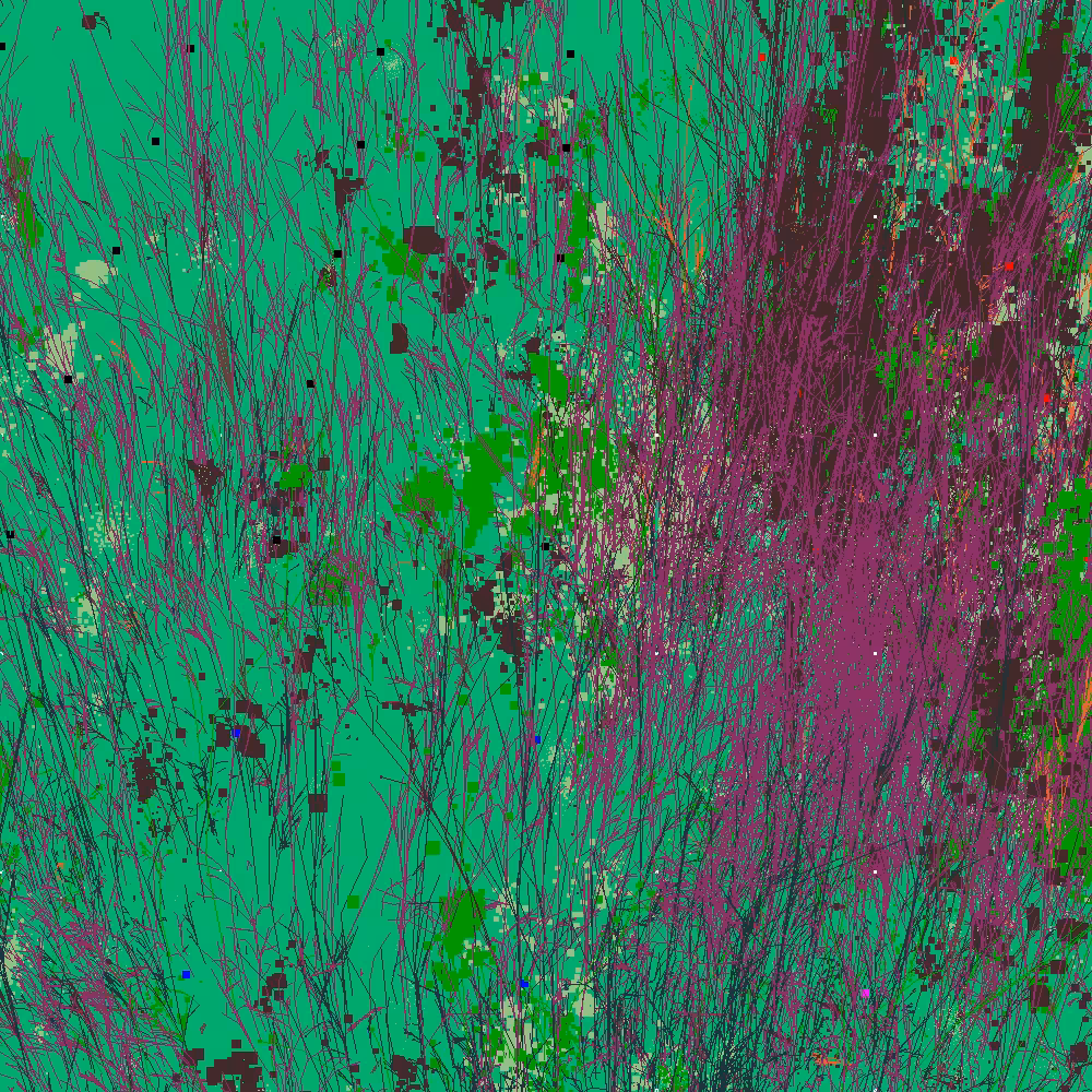 Infinite Garden: 29026 Flowers