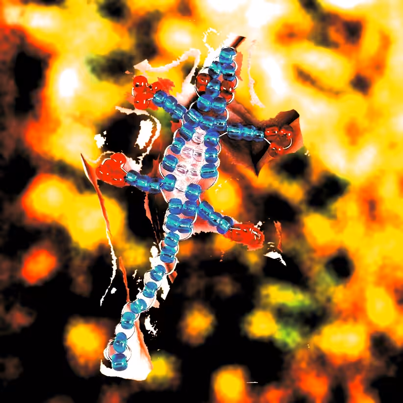 LAVA LIZARD