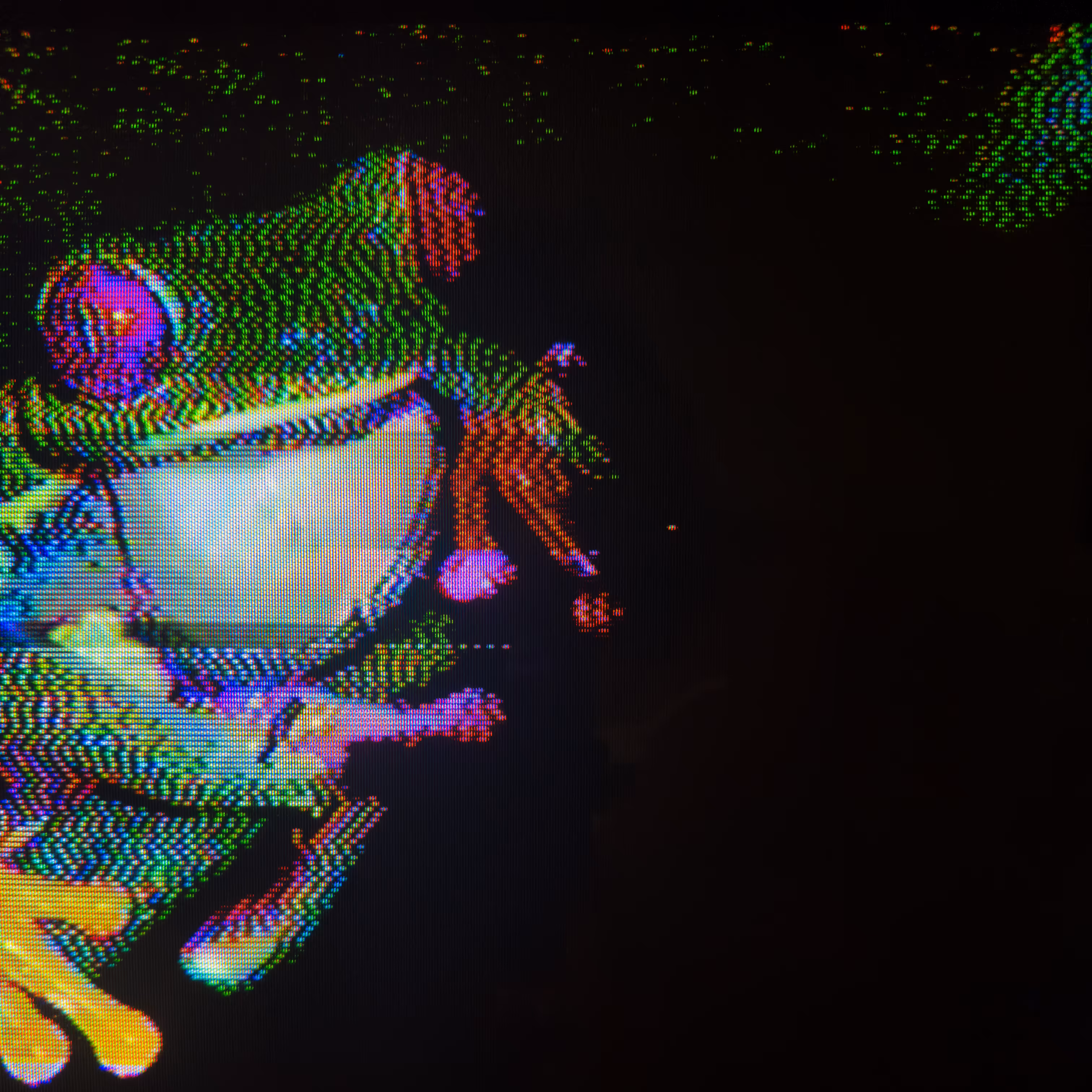 i heard you like frogs