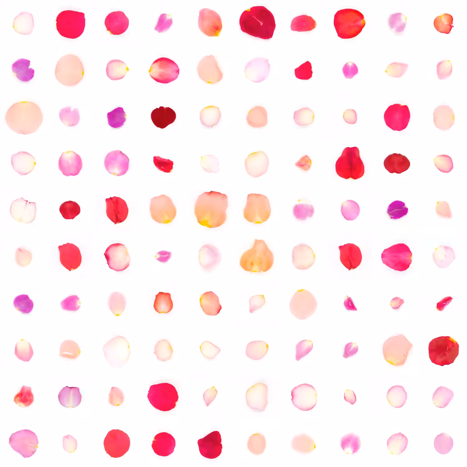 Infinite Petals 10x10#2500
