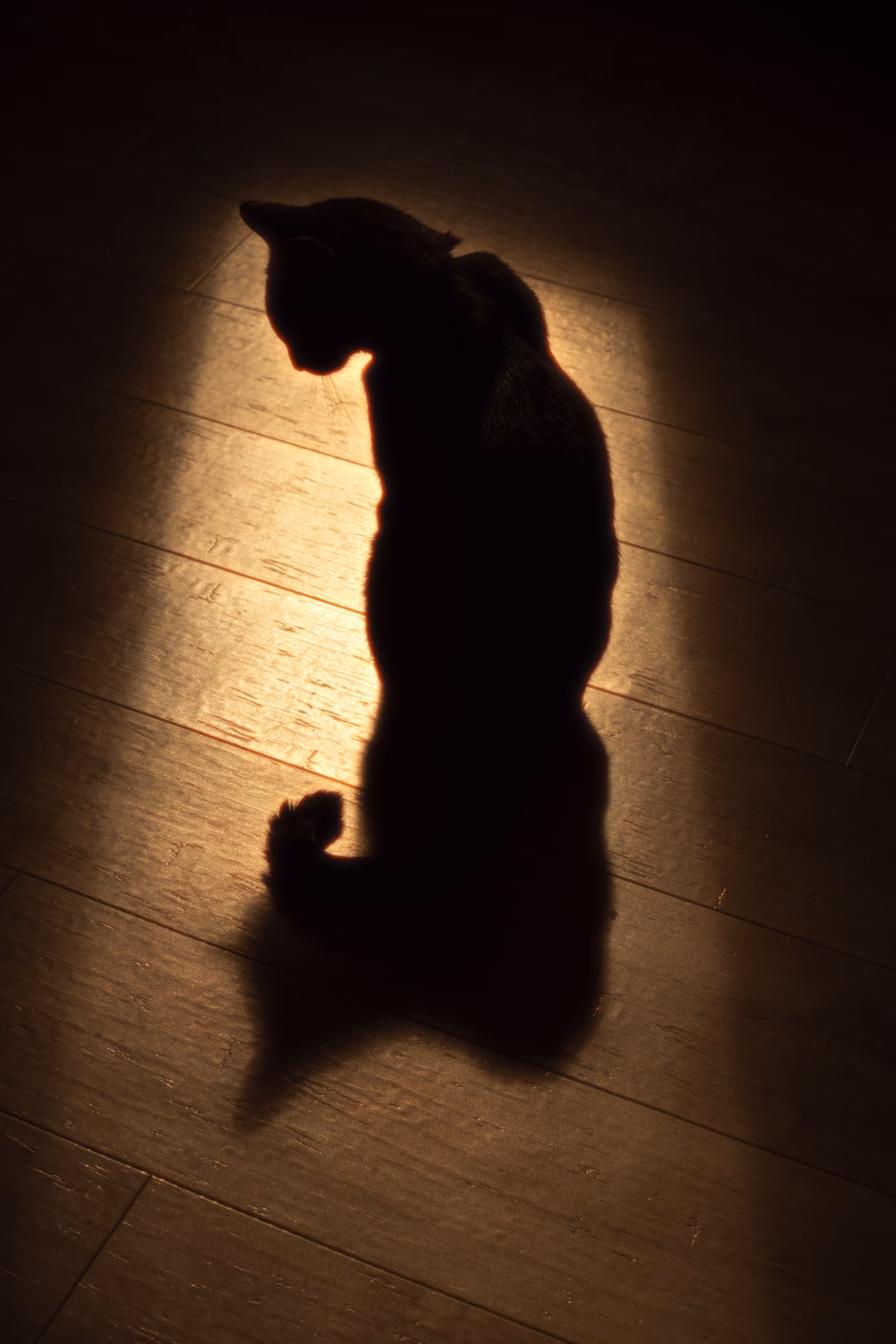 The Guardian