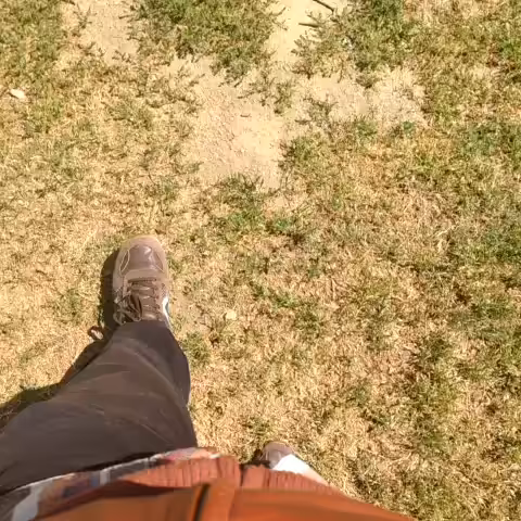 Daywalking