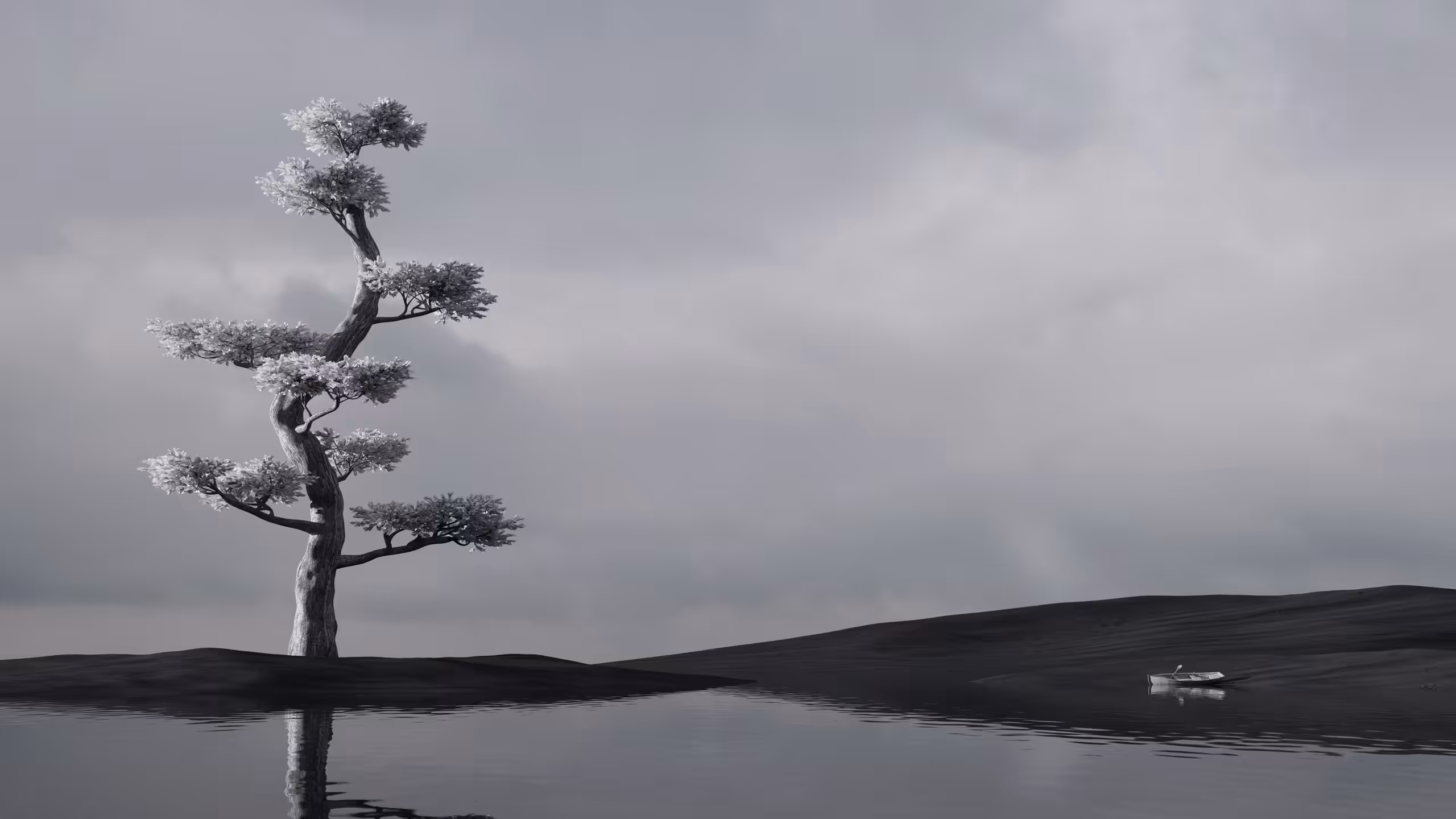 Serenity