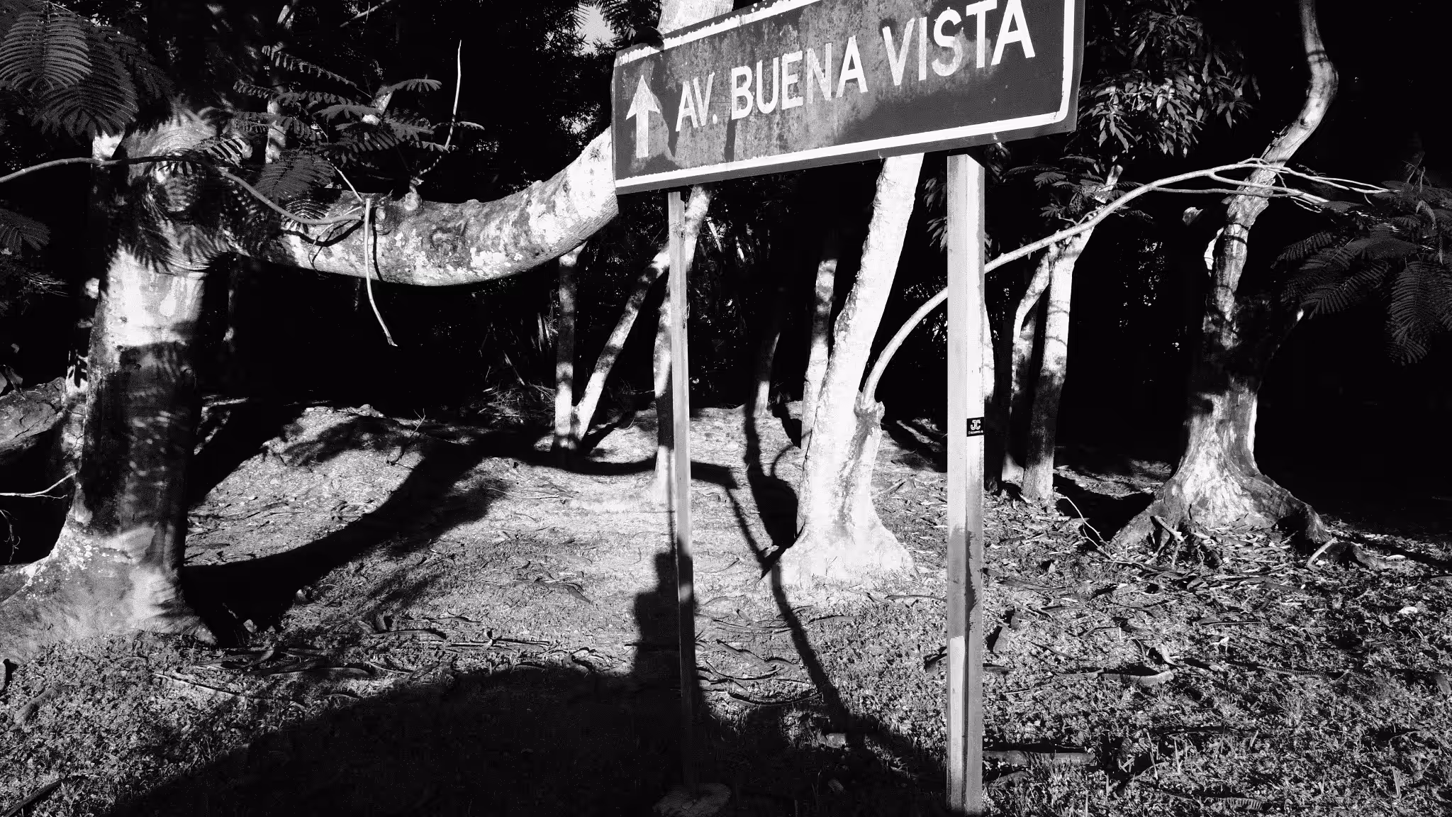shadow selfie -  av. buena vista