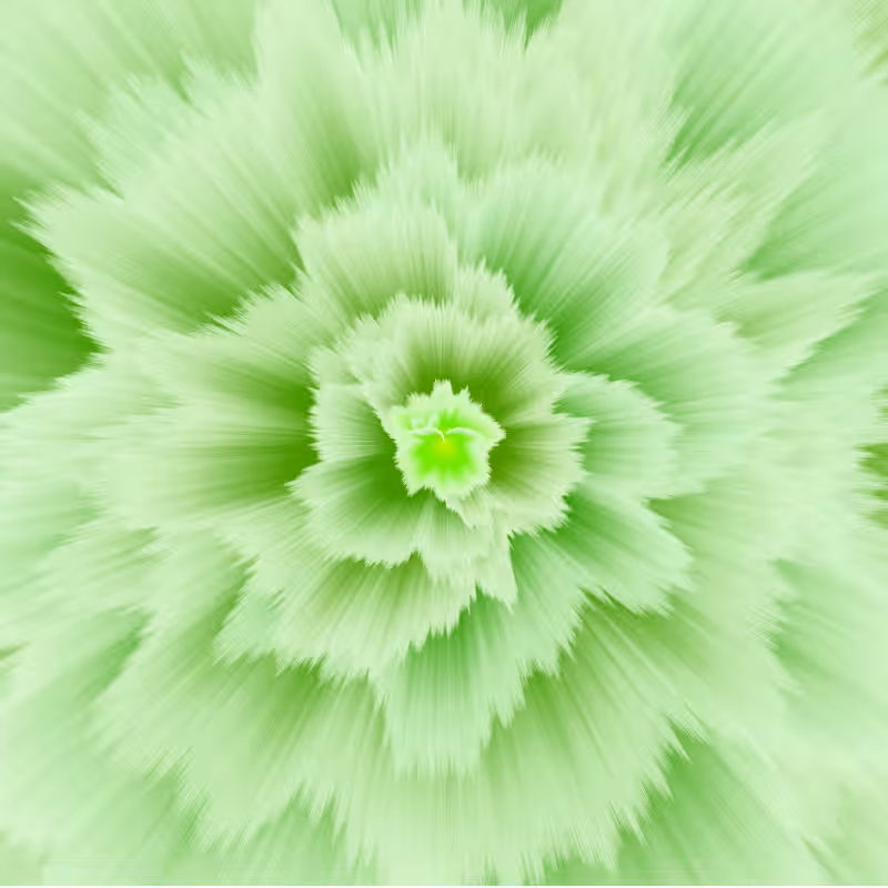 Color blast #48