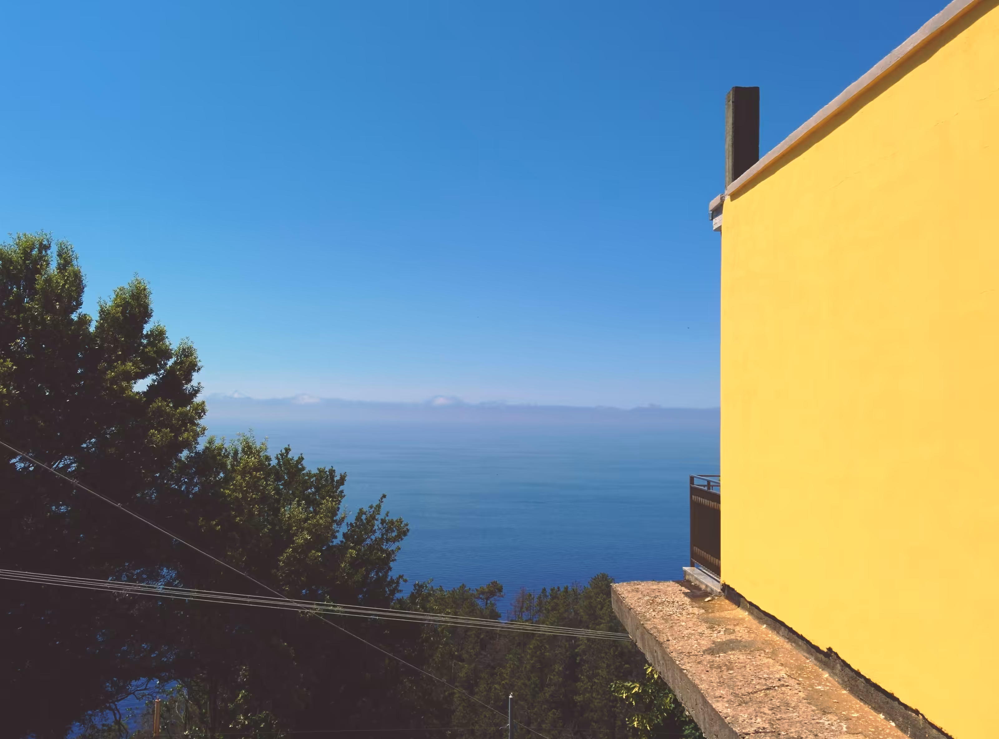 Mellow Yellow