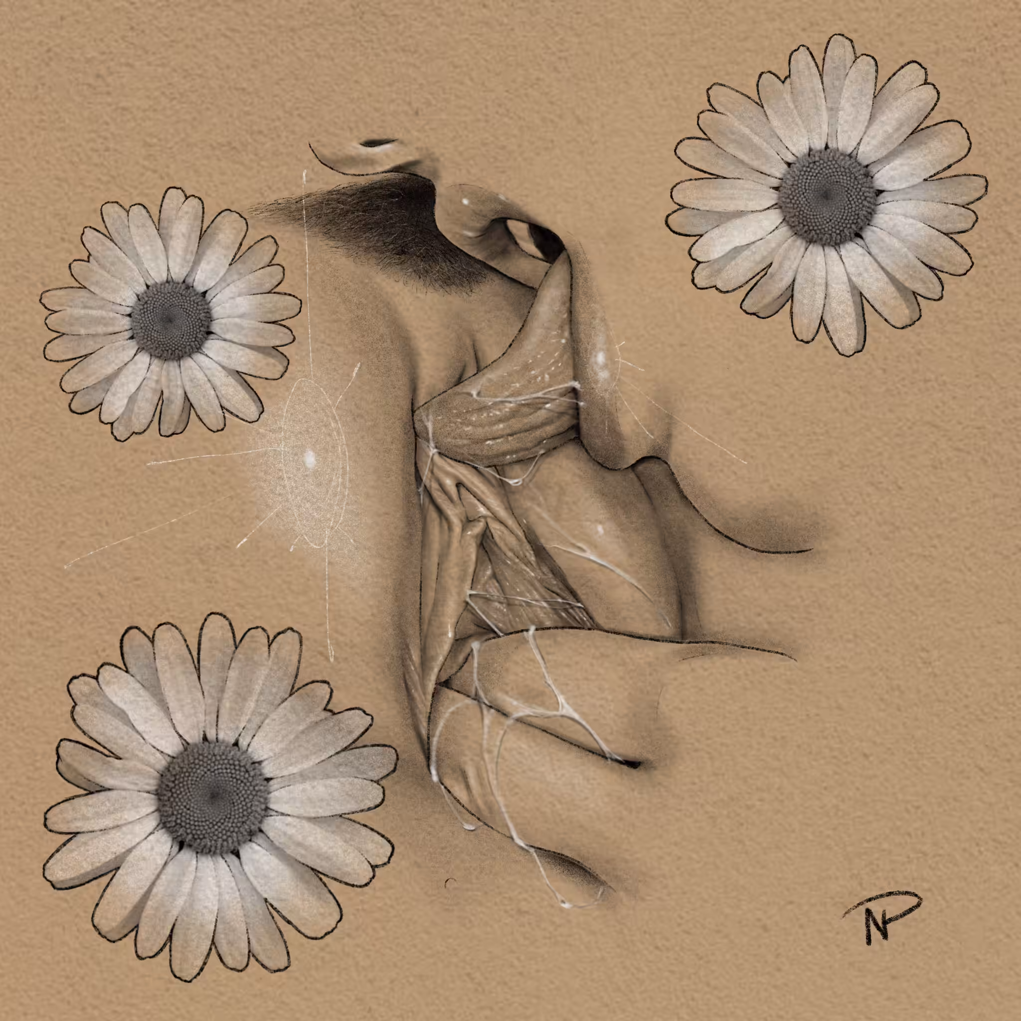Daisy