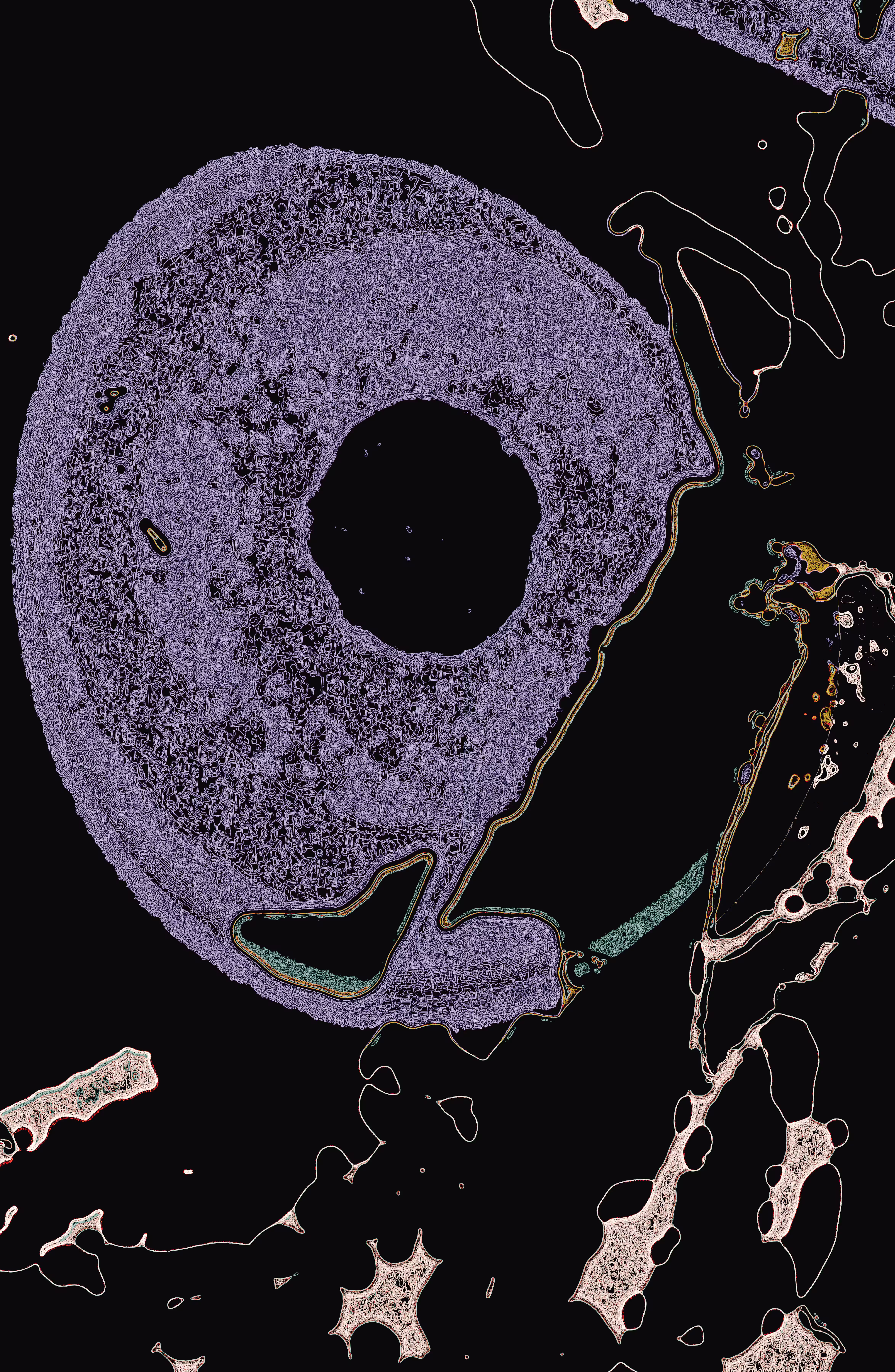 ib11N3lu923Dm