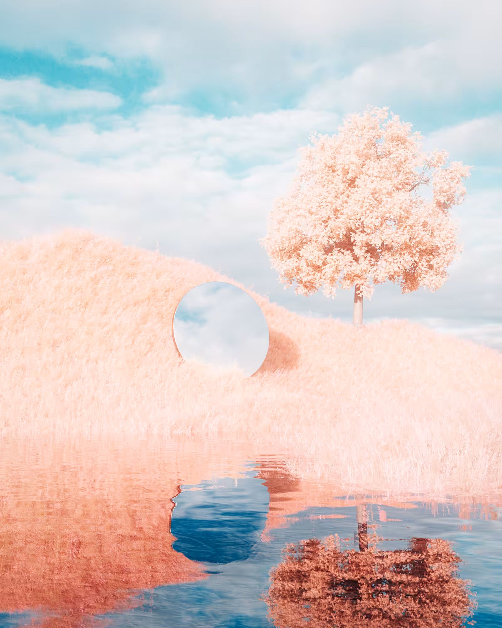 ●